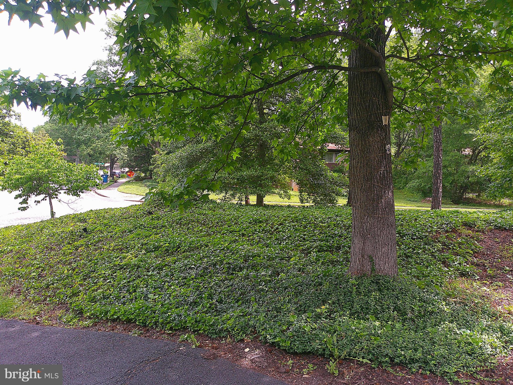 WESSYNTON - Residential Lease