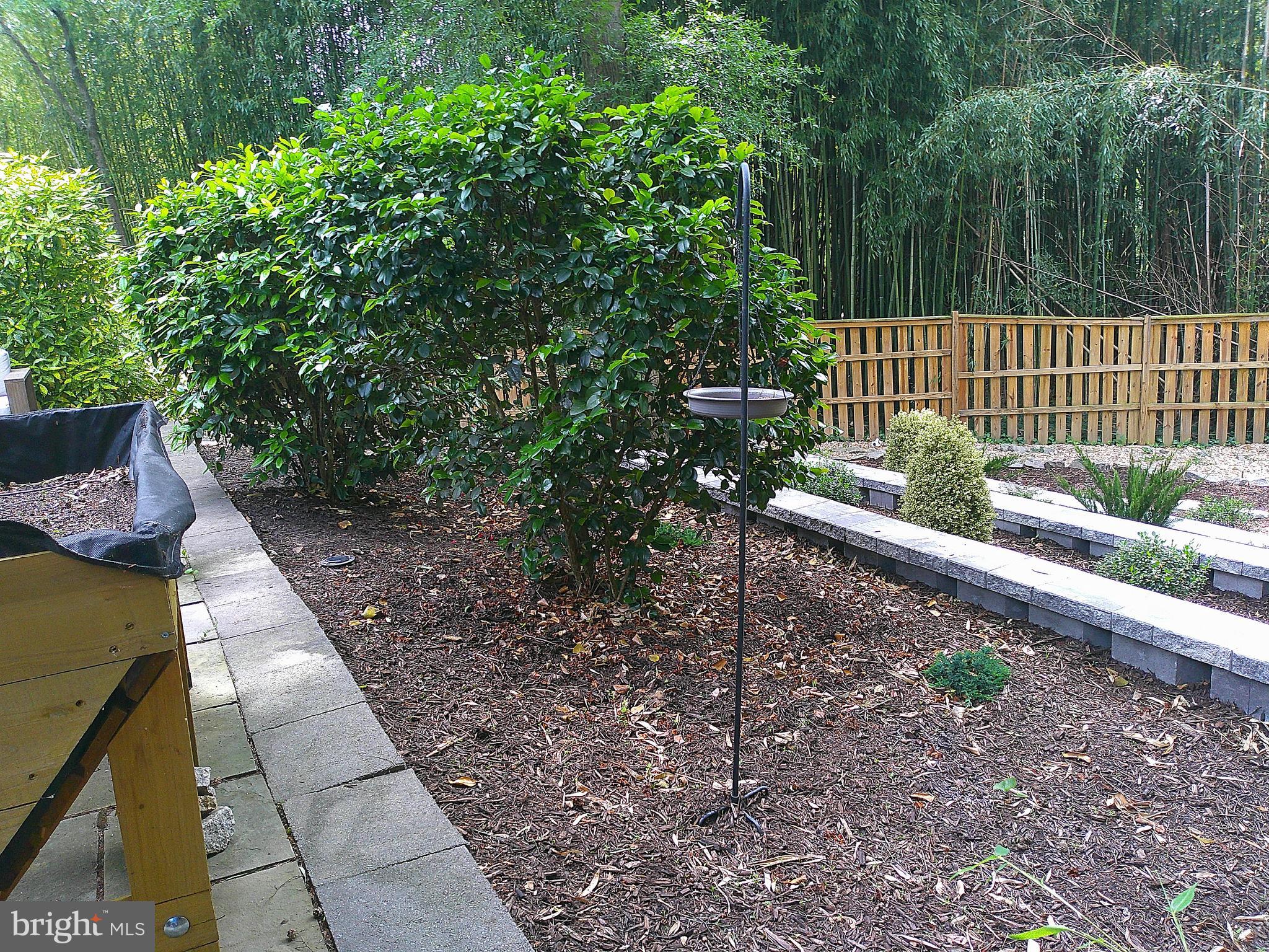 WESSYNTON - Residential Lease