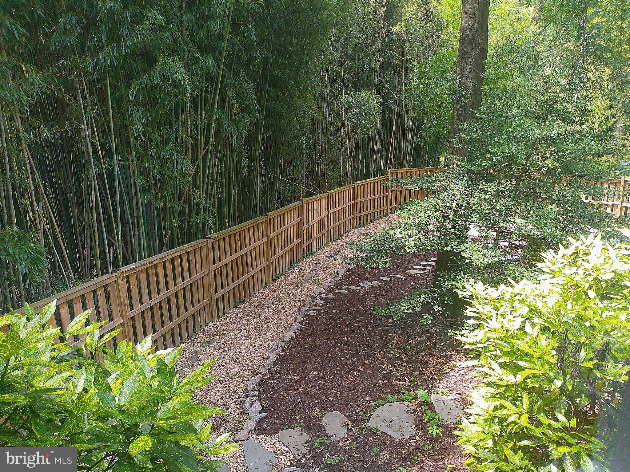 WESSYNTON - Residential Lease