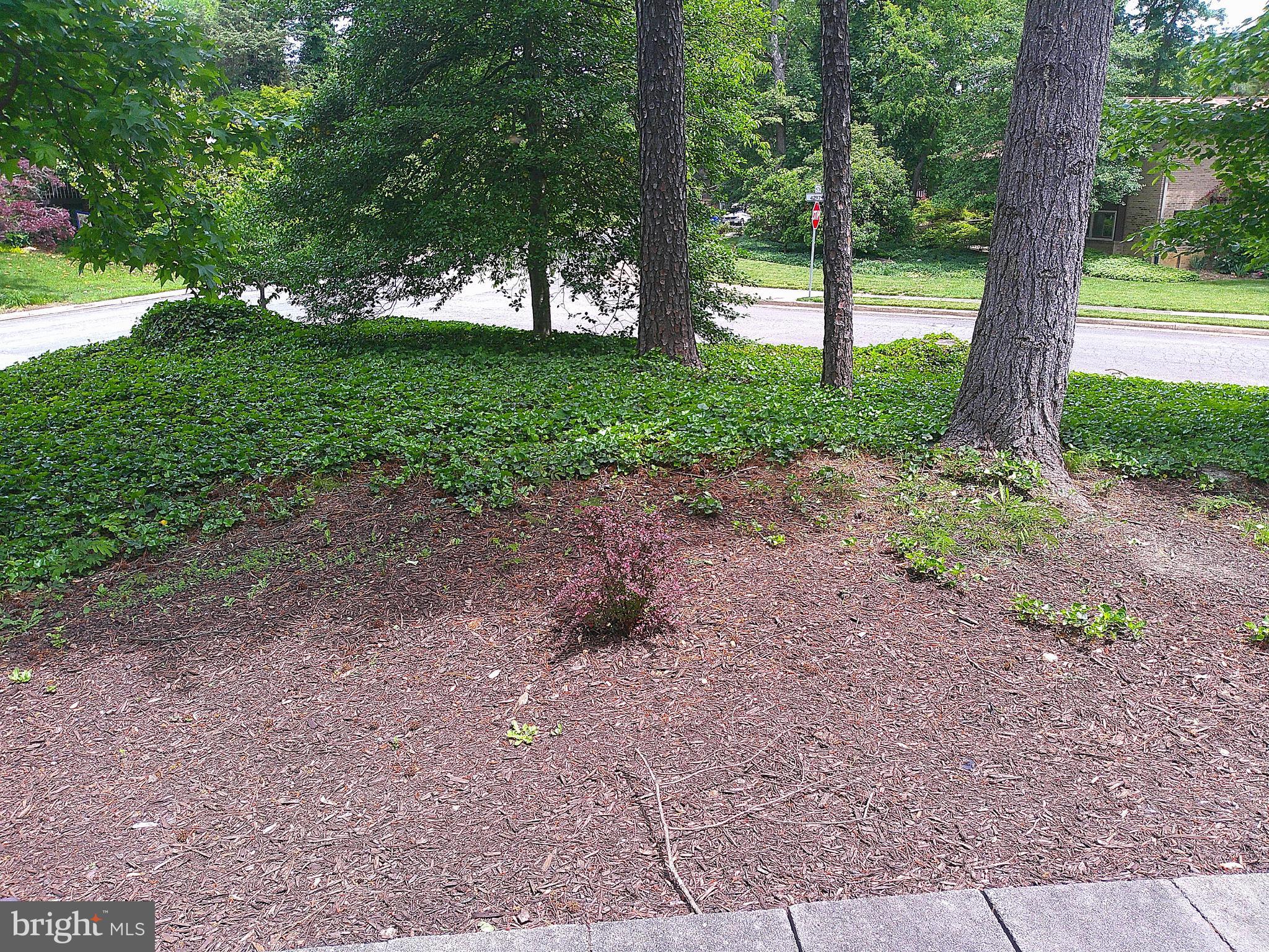 WESSYNTON - Residential Lease