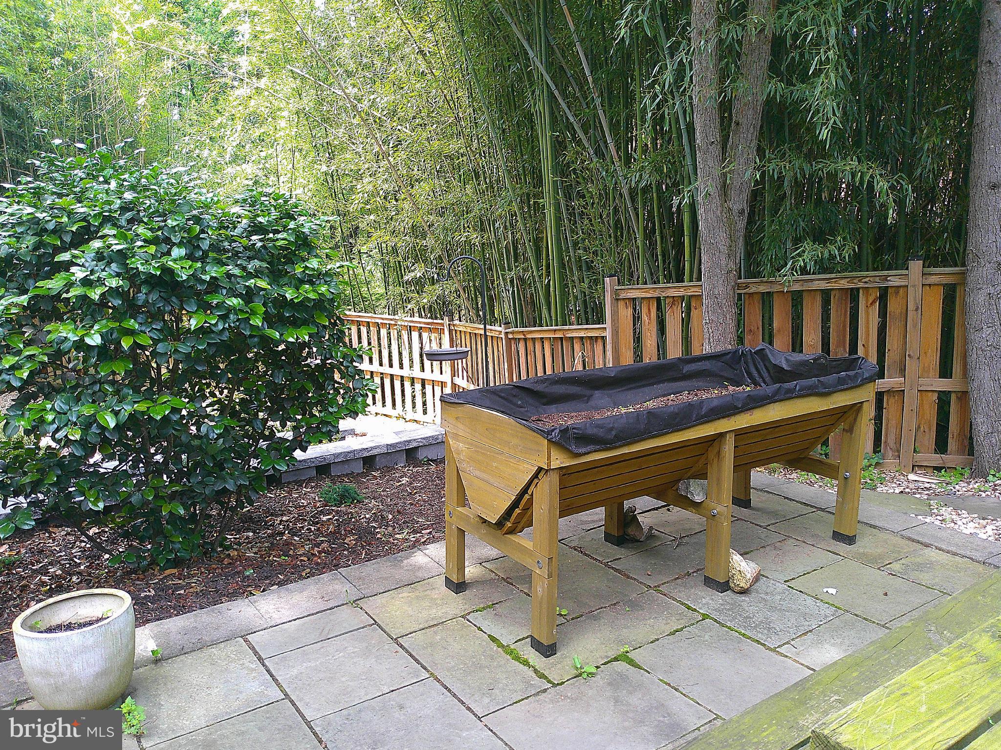 WESSYNTON - Residential Lease