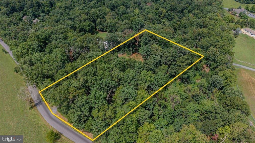 55 BURKES MILL ROAD