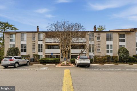 Photo of 5608 Bloomfield Drive #101, ALEXANDRIA, VA 22312 (MLS # VAFX2294750)