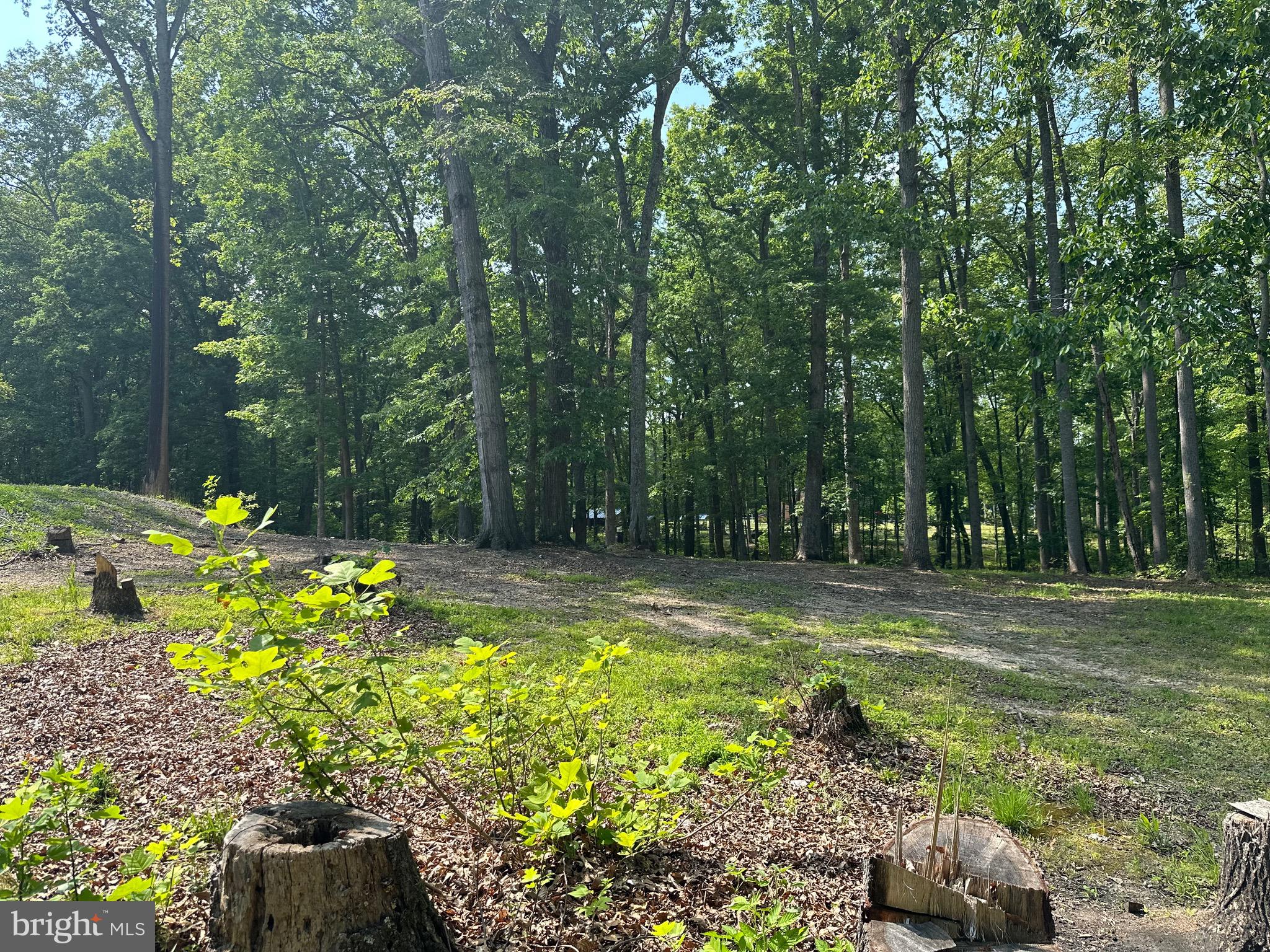 BREWSTER RIDGE - Residential