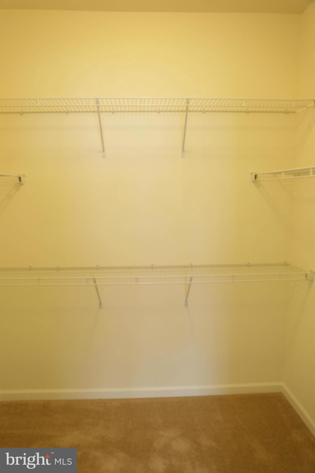 BALLARD GREEN - Residential Lease