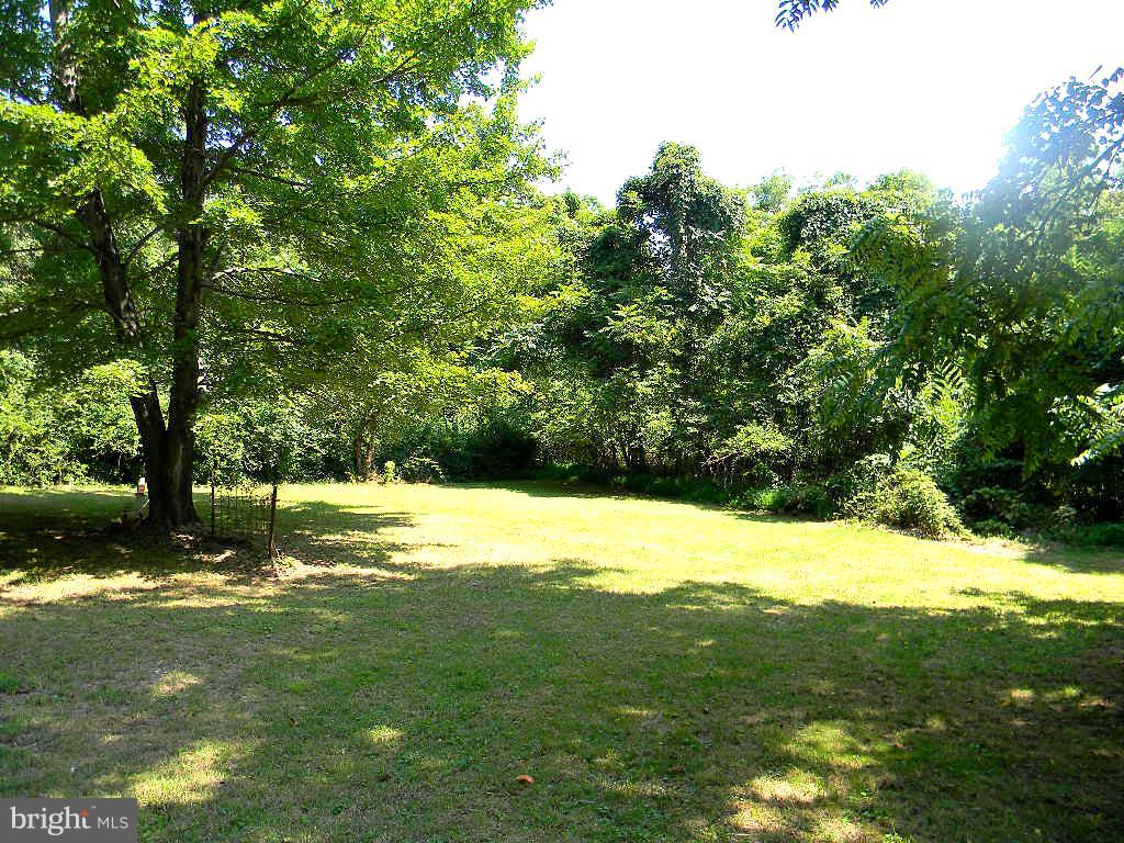 BLUE RIDGE MOUNTAIN ESTATES - Residential