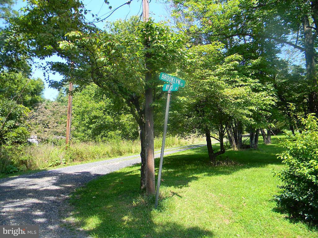 BLUE RIDGE MOUNTAIN ESTATES - Residential