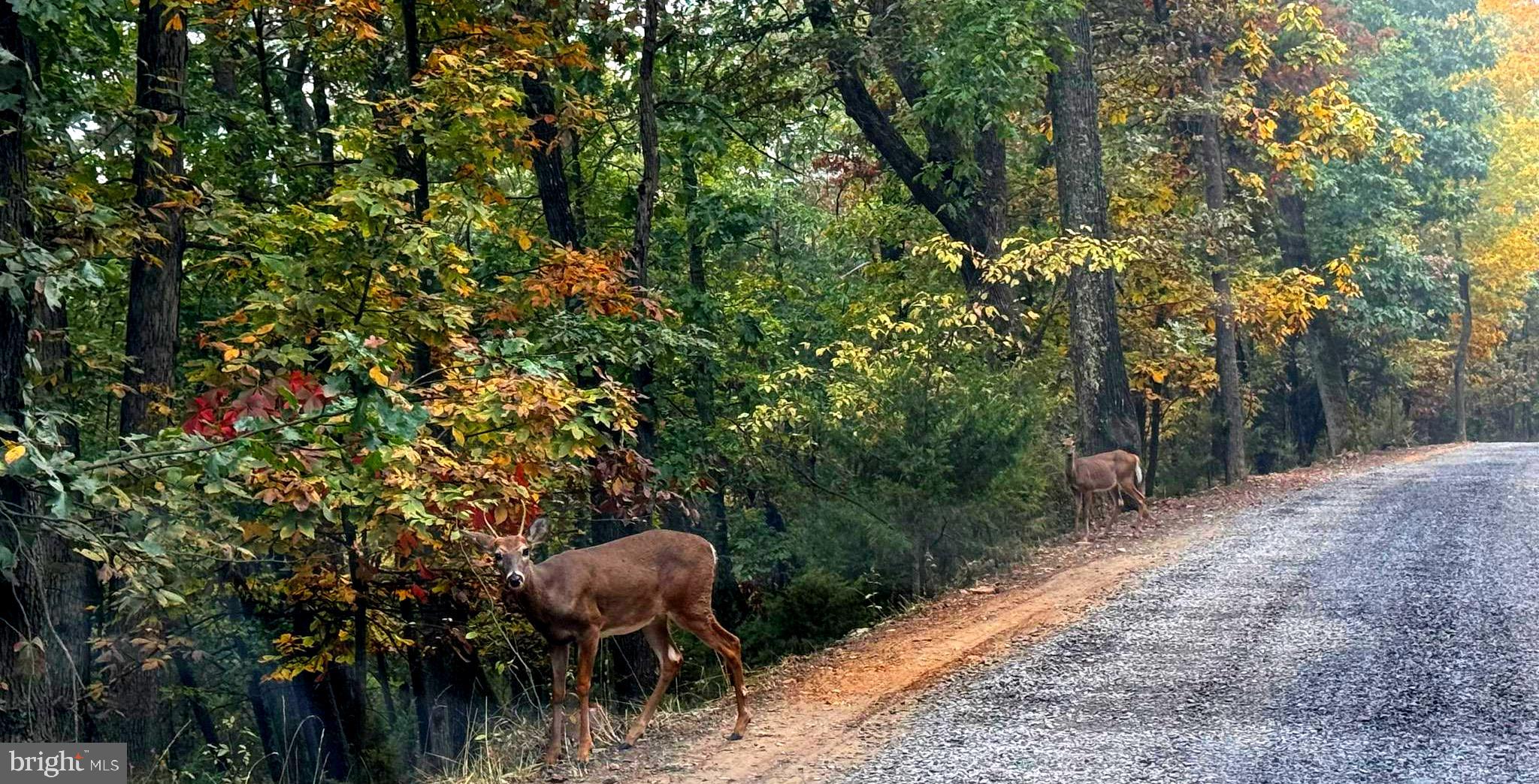 BADLANDS RANCHES - Residential