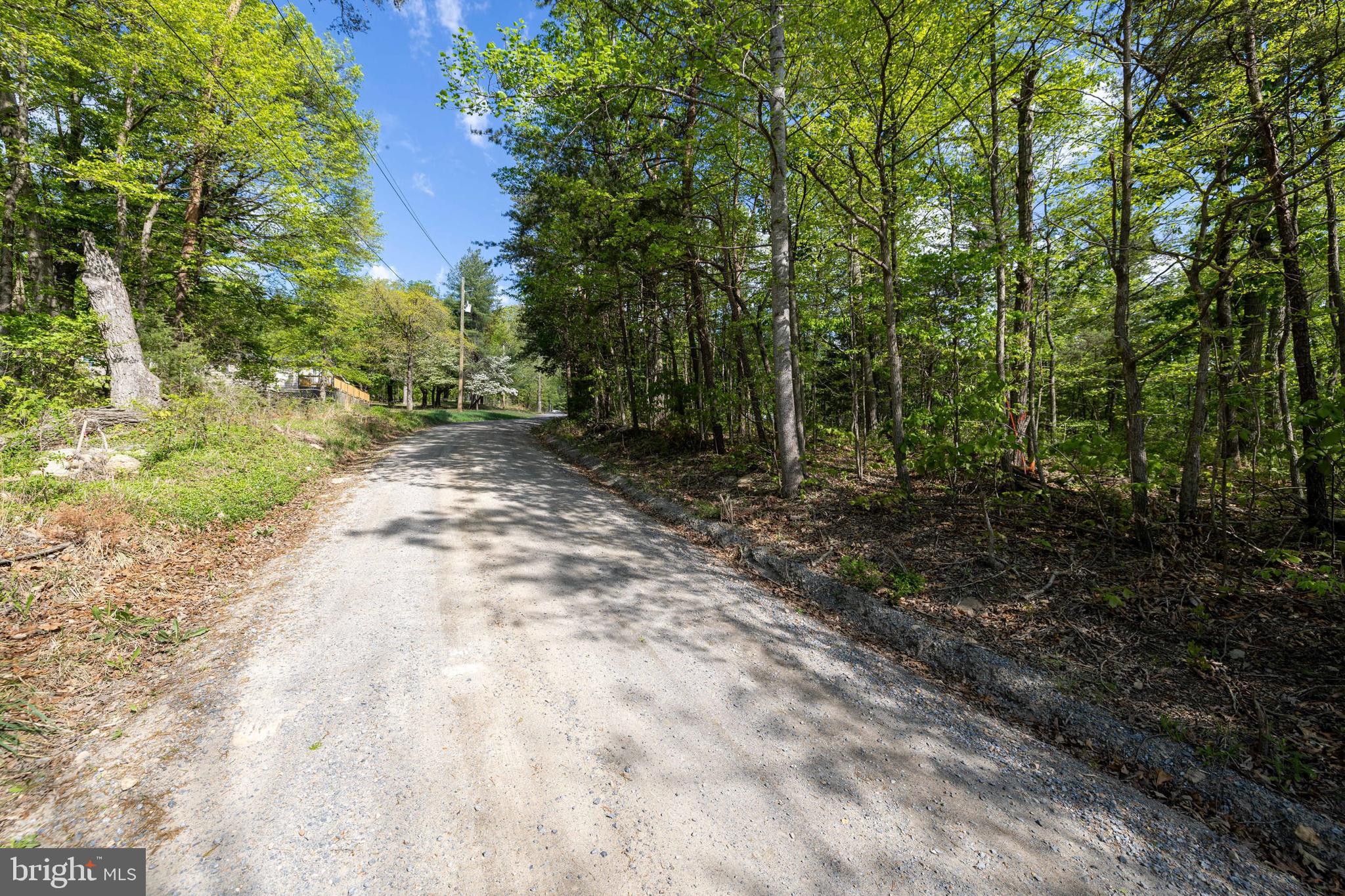 SHENANDOAH FOREST - Land