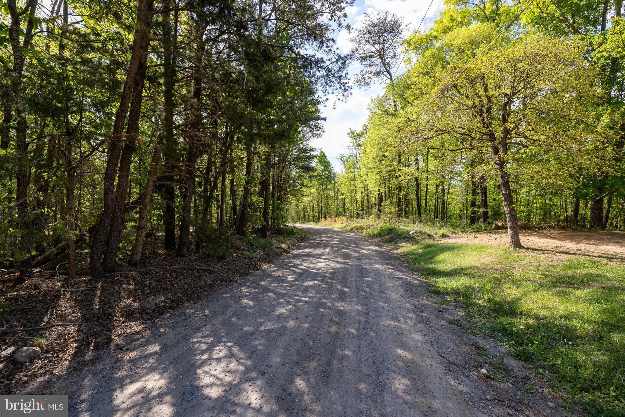 SHENANDOAH FOREST - Land