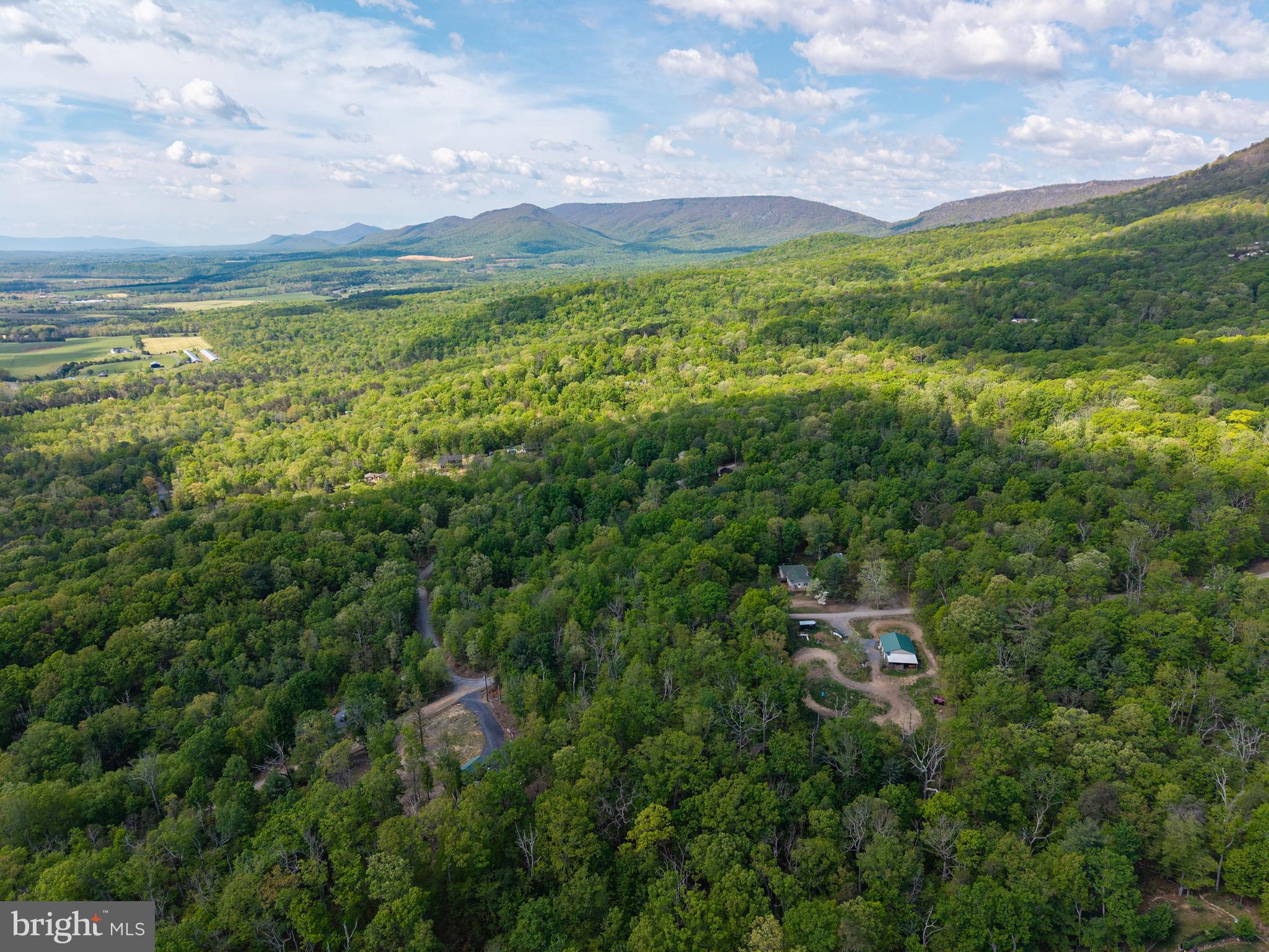 SHENANDOAH FOREST - Land