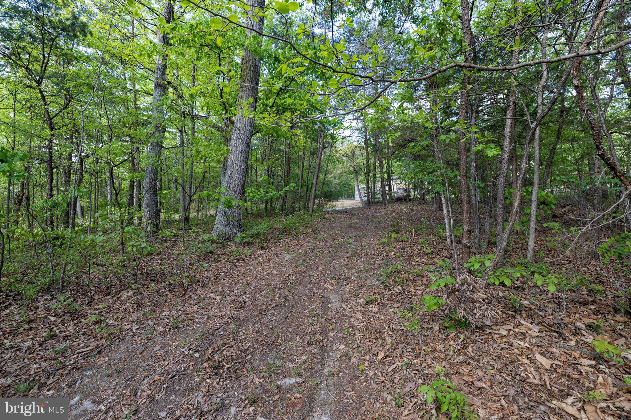 SHENANDOAH FOREST - Land