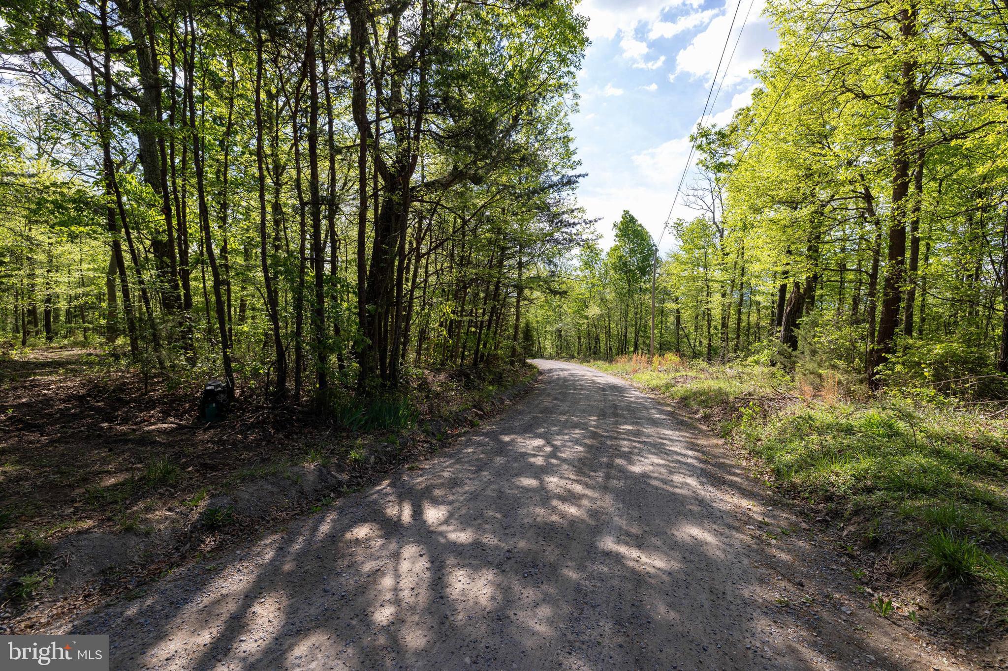 SHENANDOAH FOREST - Land