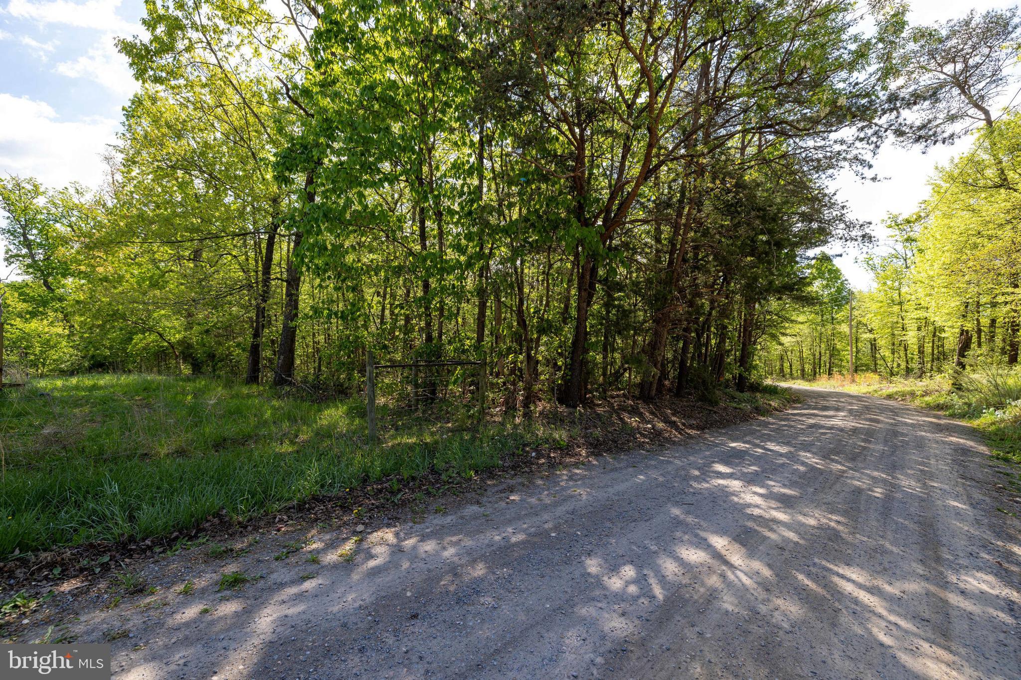 SHENANDOAH FOREST - Land