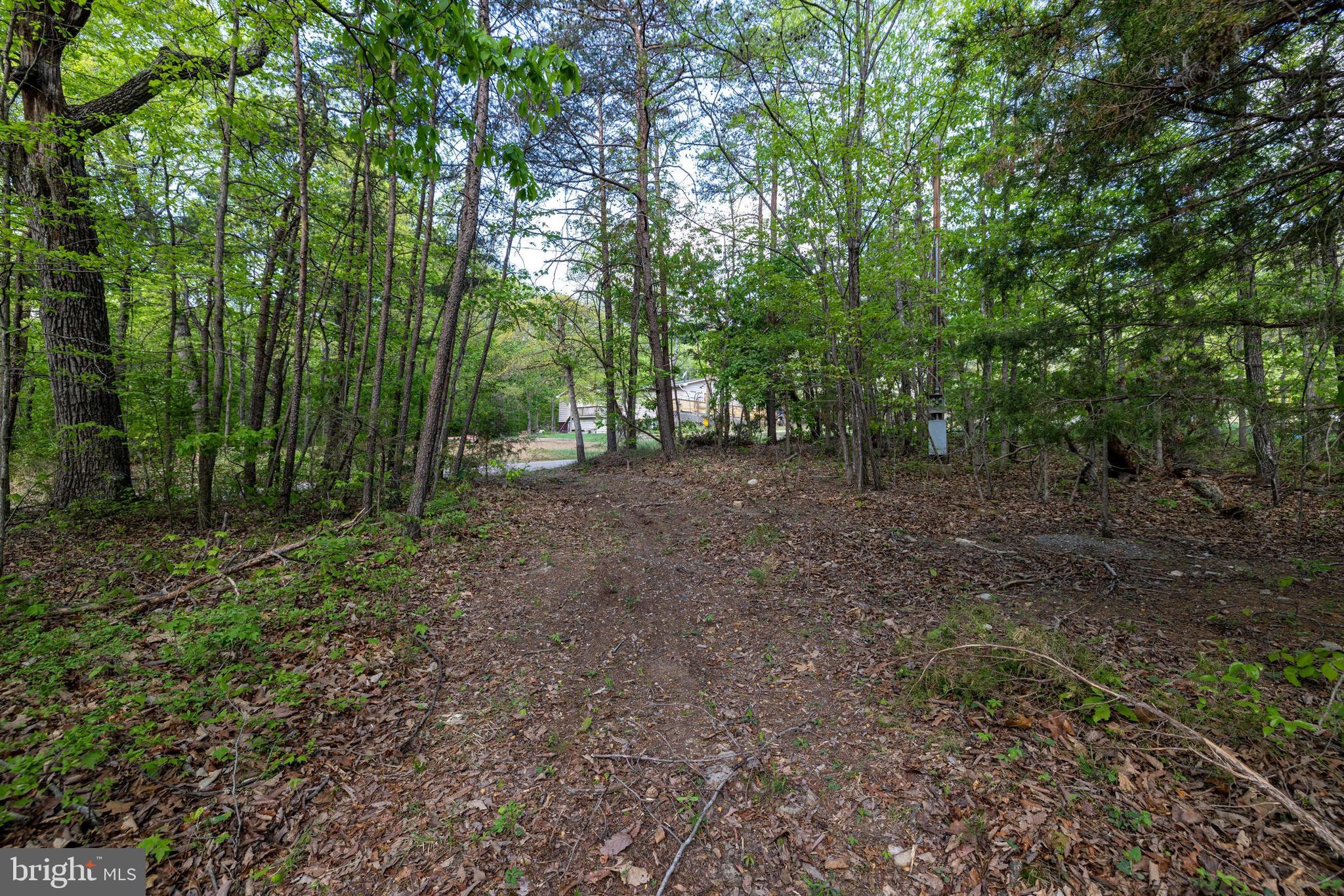SHENANDOAH FOREST - Land