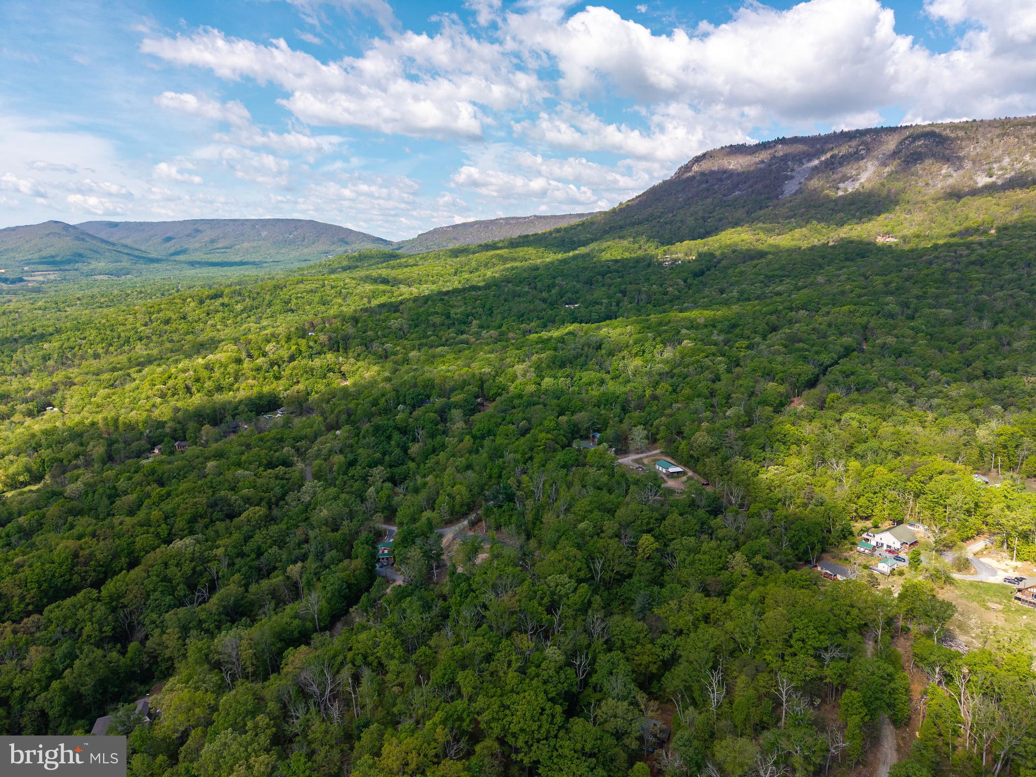 SHENANDOAH FOREST - Land