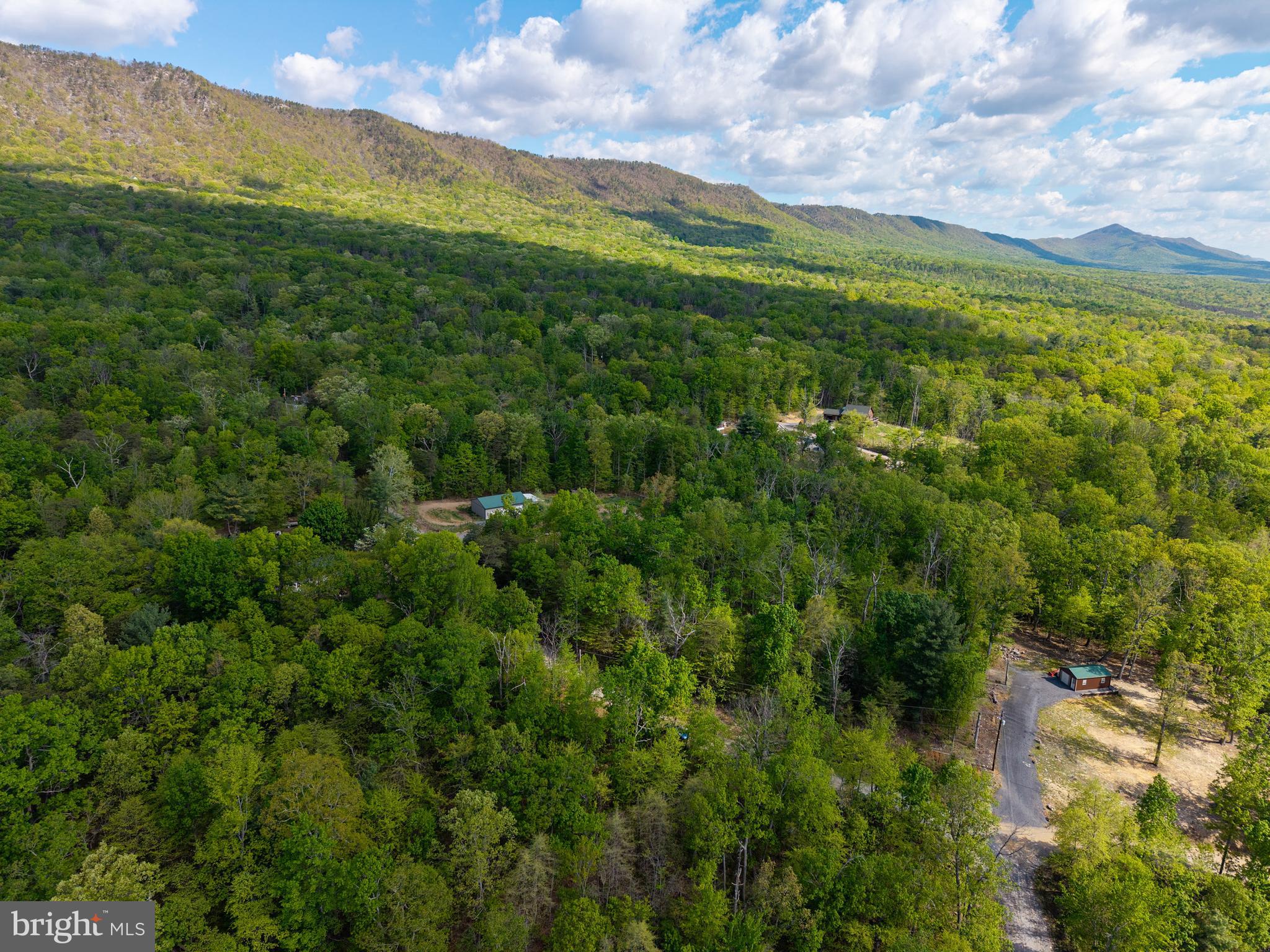 SHENANDOAH FOREST - Land