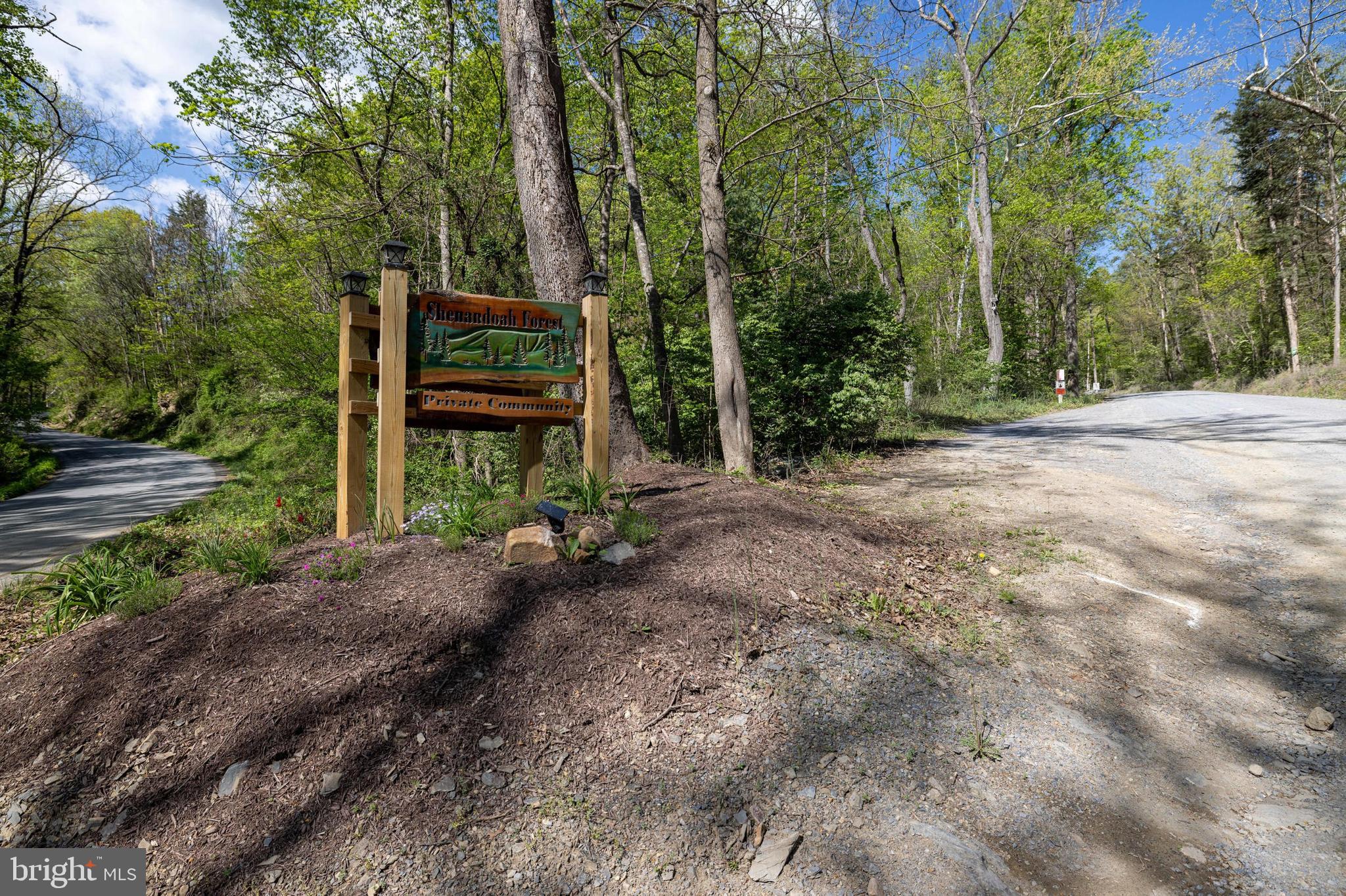 SHENANDOAH FOREST - Land
