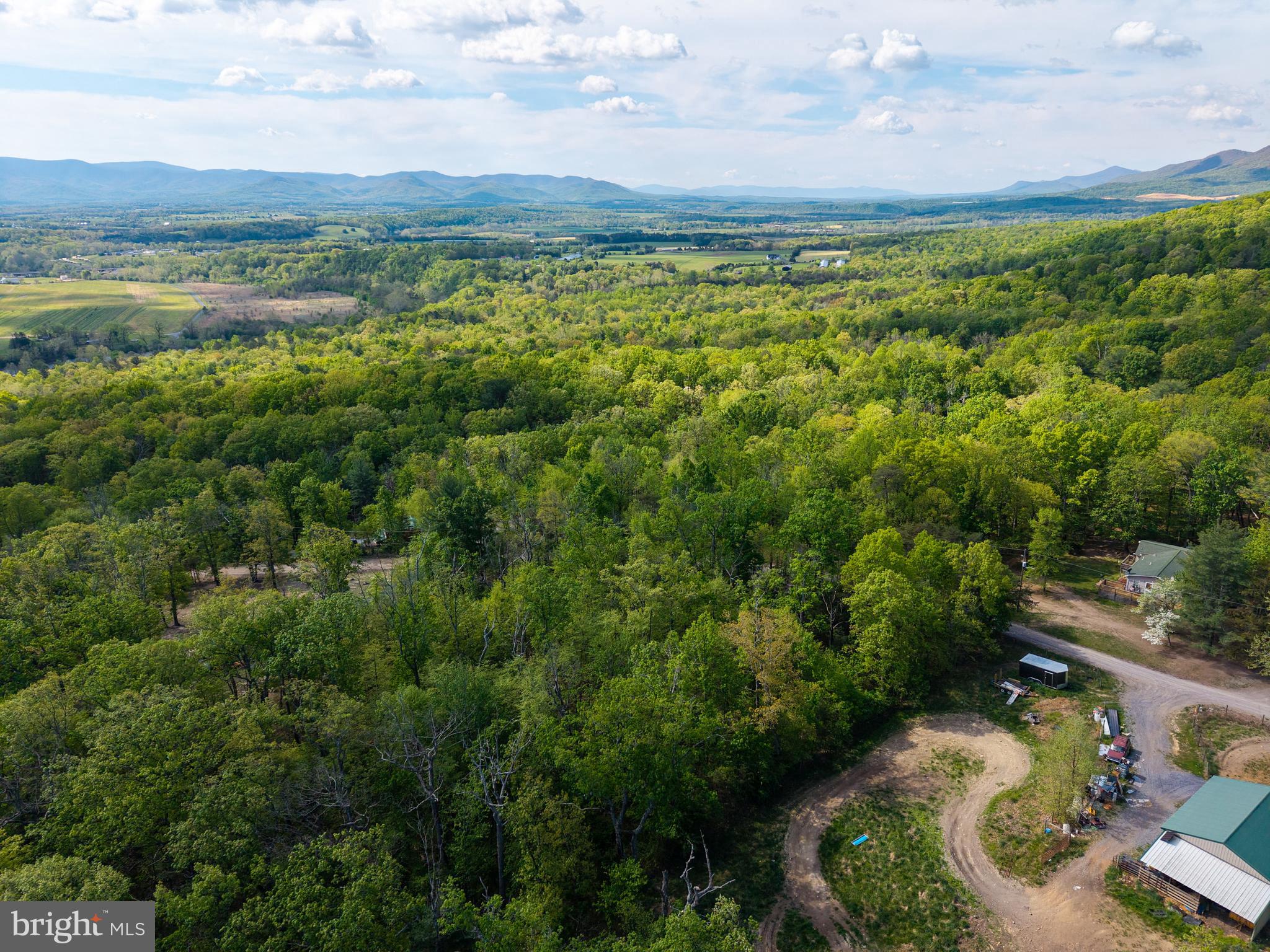SHENANDOAH FOREST - Land
