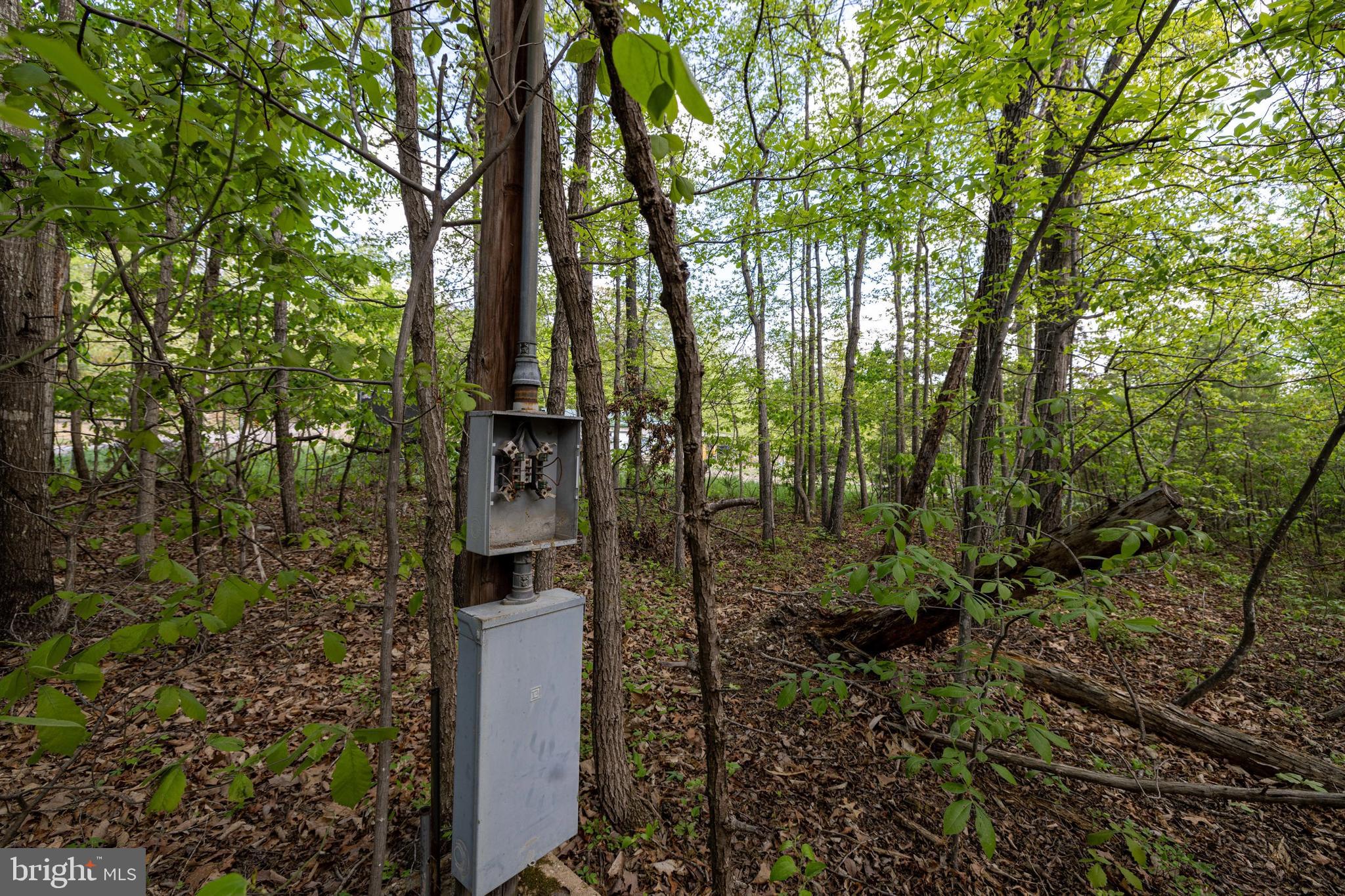 SHENANDOAH FOREST - Land