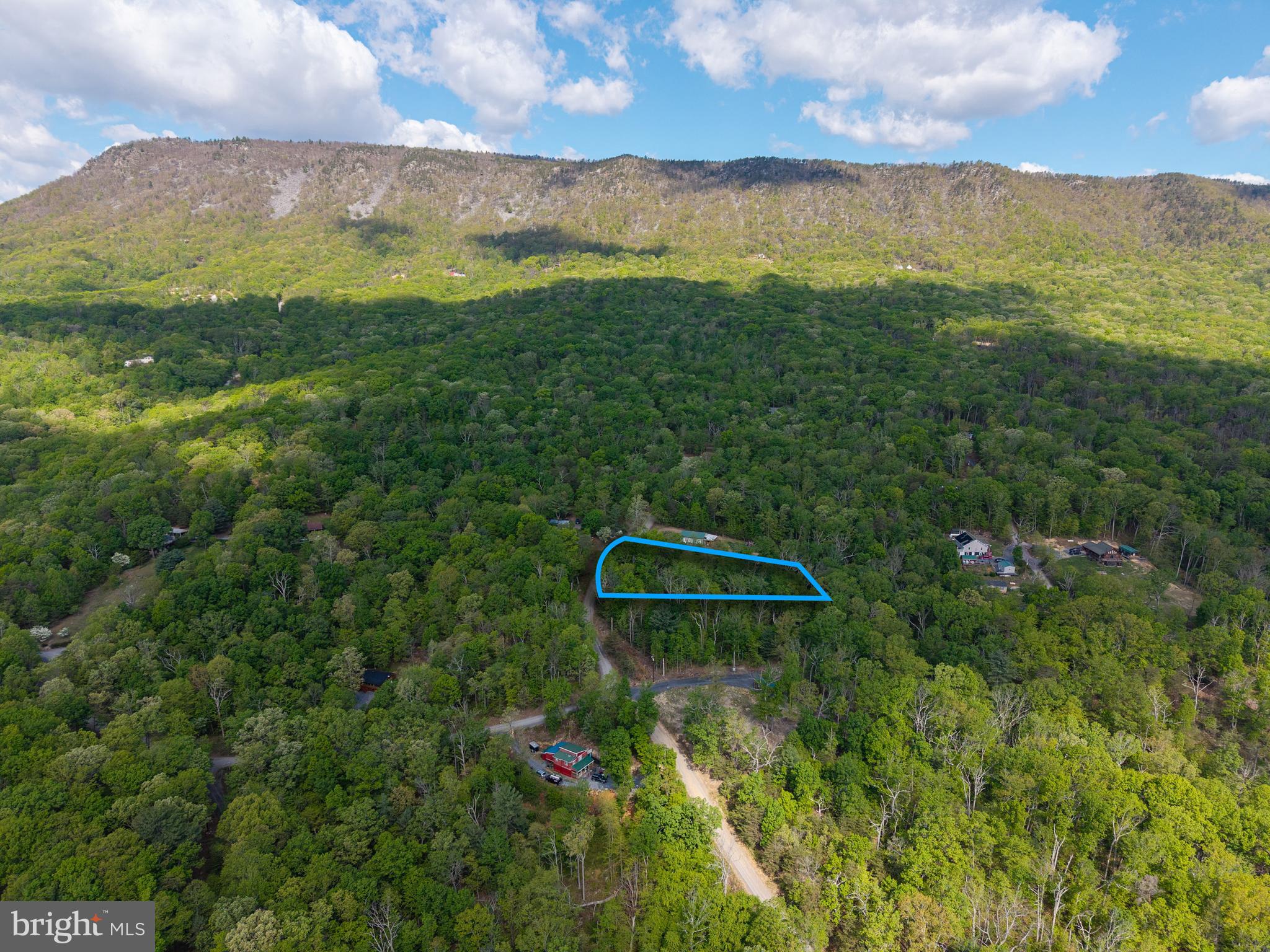 SHENANDOAH FOREST - Land
