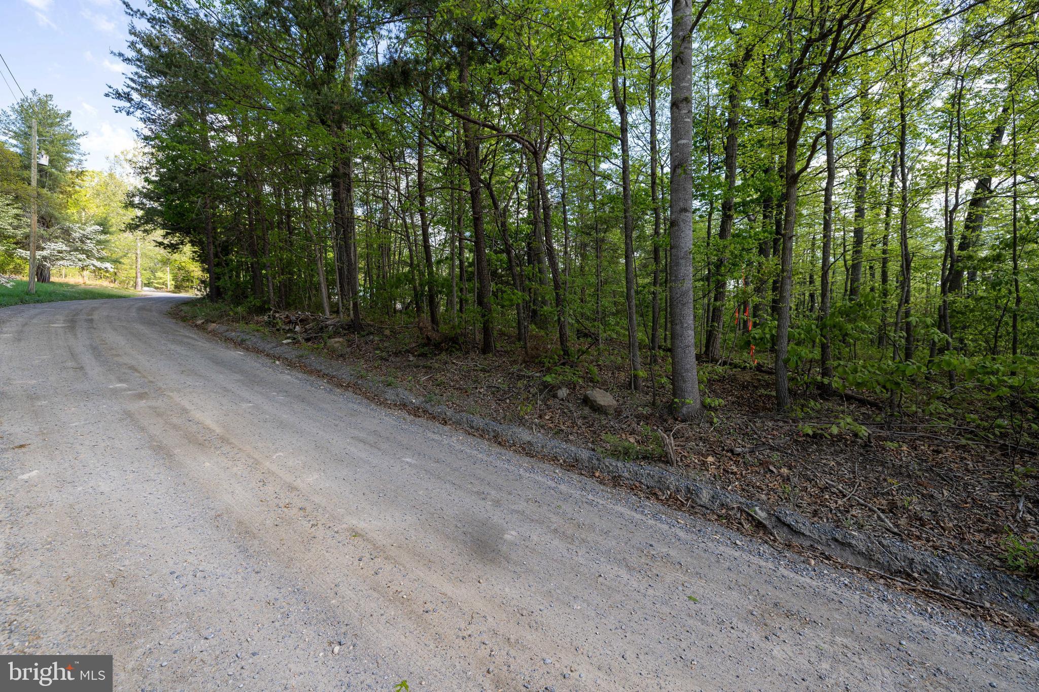 SHENANDOAH FOREST - Land