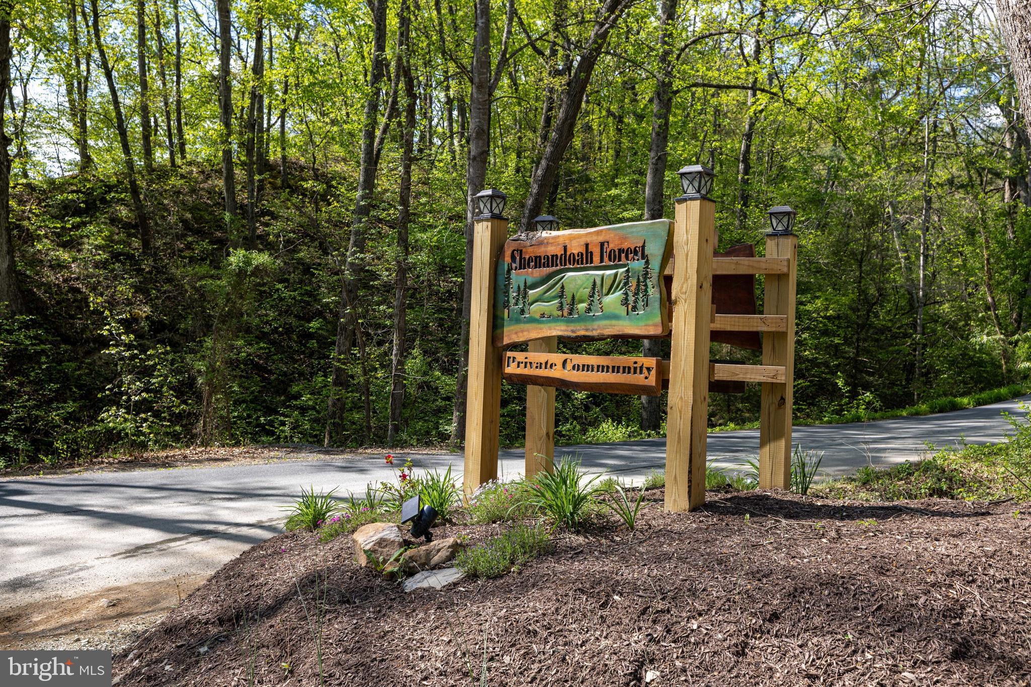 SHENANDOAH FOREST - Land