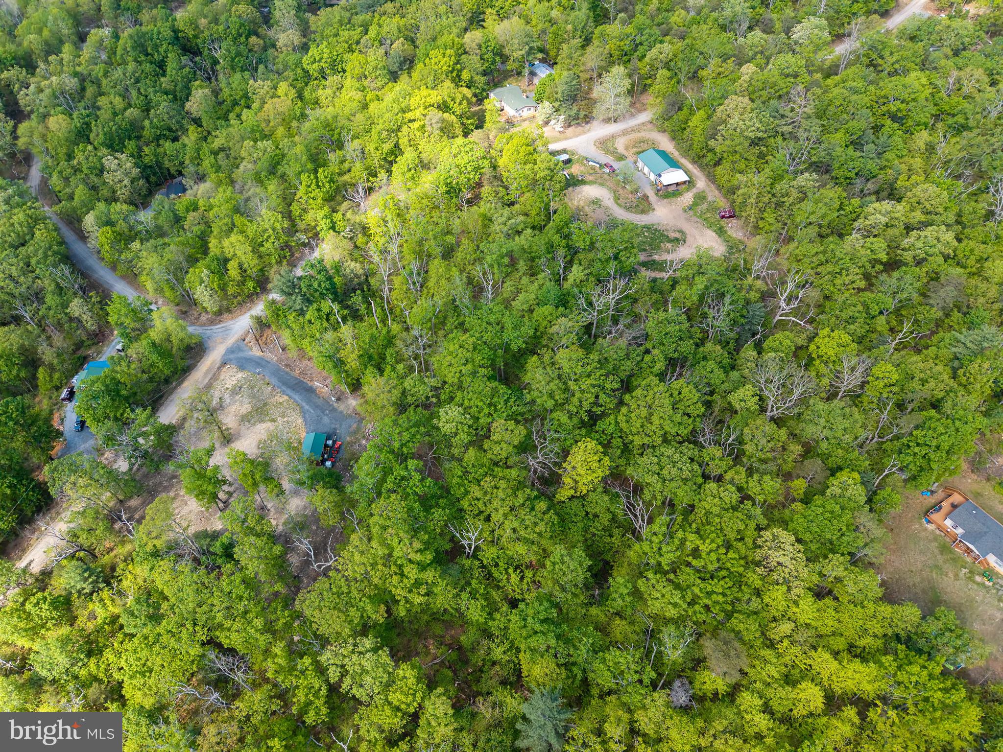 SHENANDOAH FOREST - Land