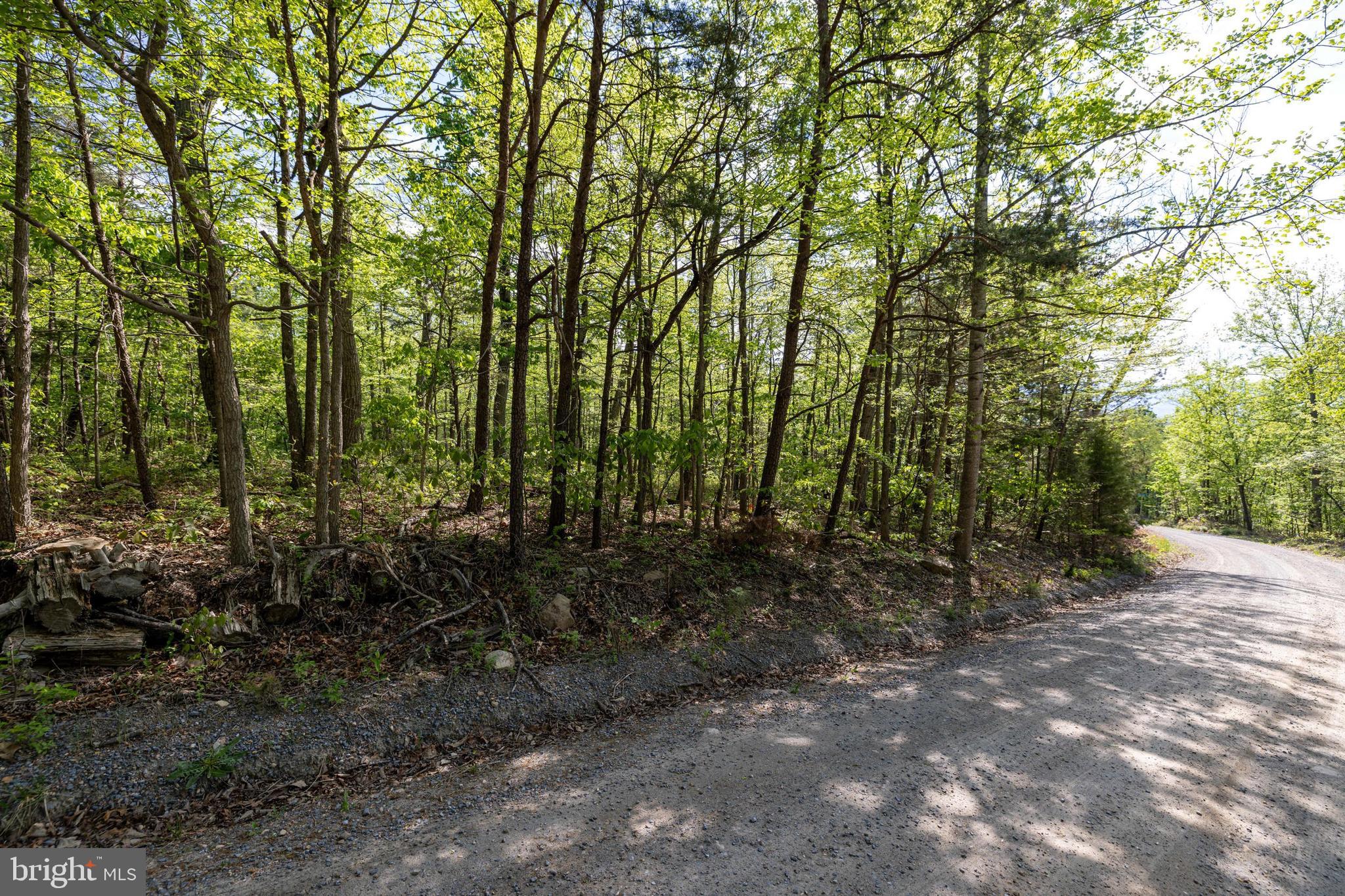 SHENANDOAH FOREST - Land
