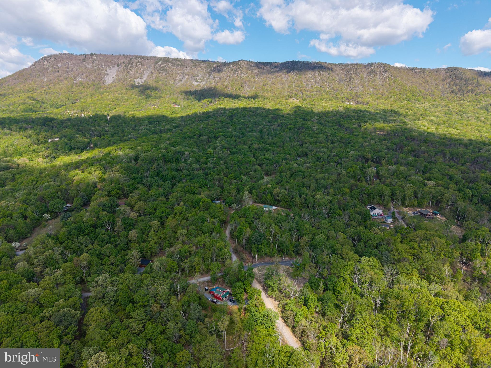 SHENANDOAH FOREST - Land