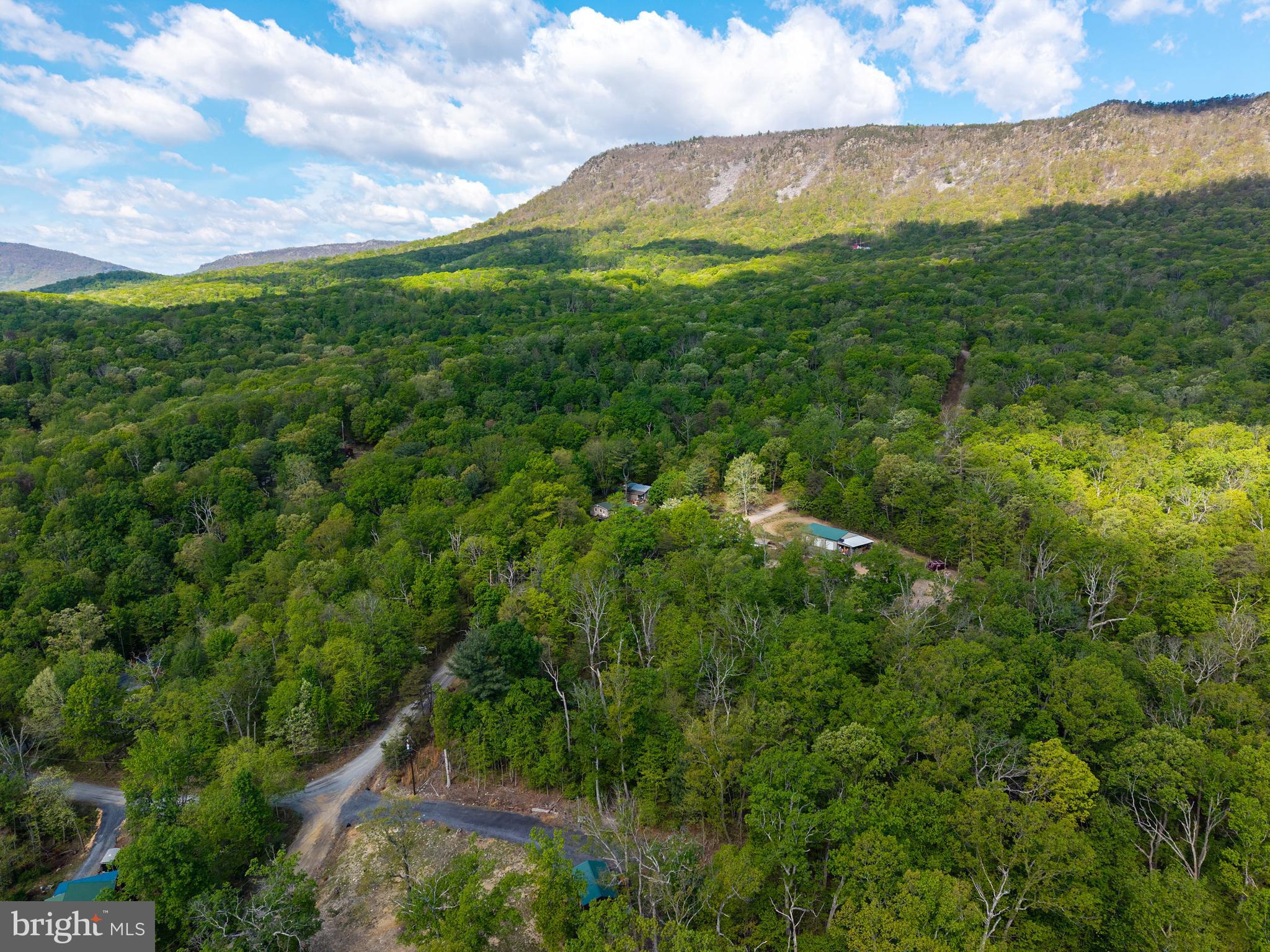SHENANDOAH FOREST - Land