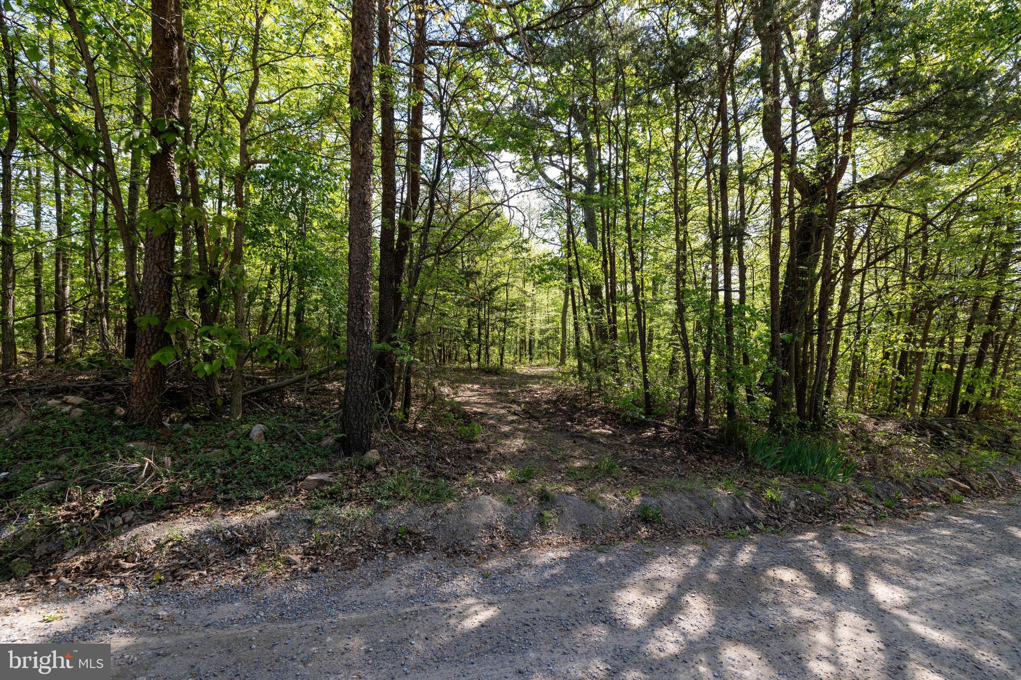 SHENANDOAH FOREST - Land