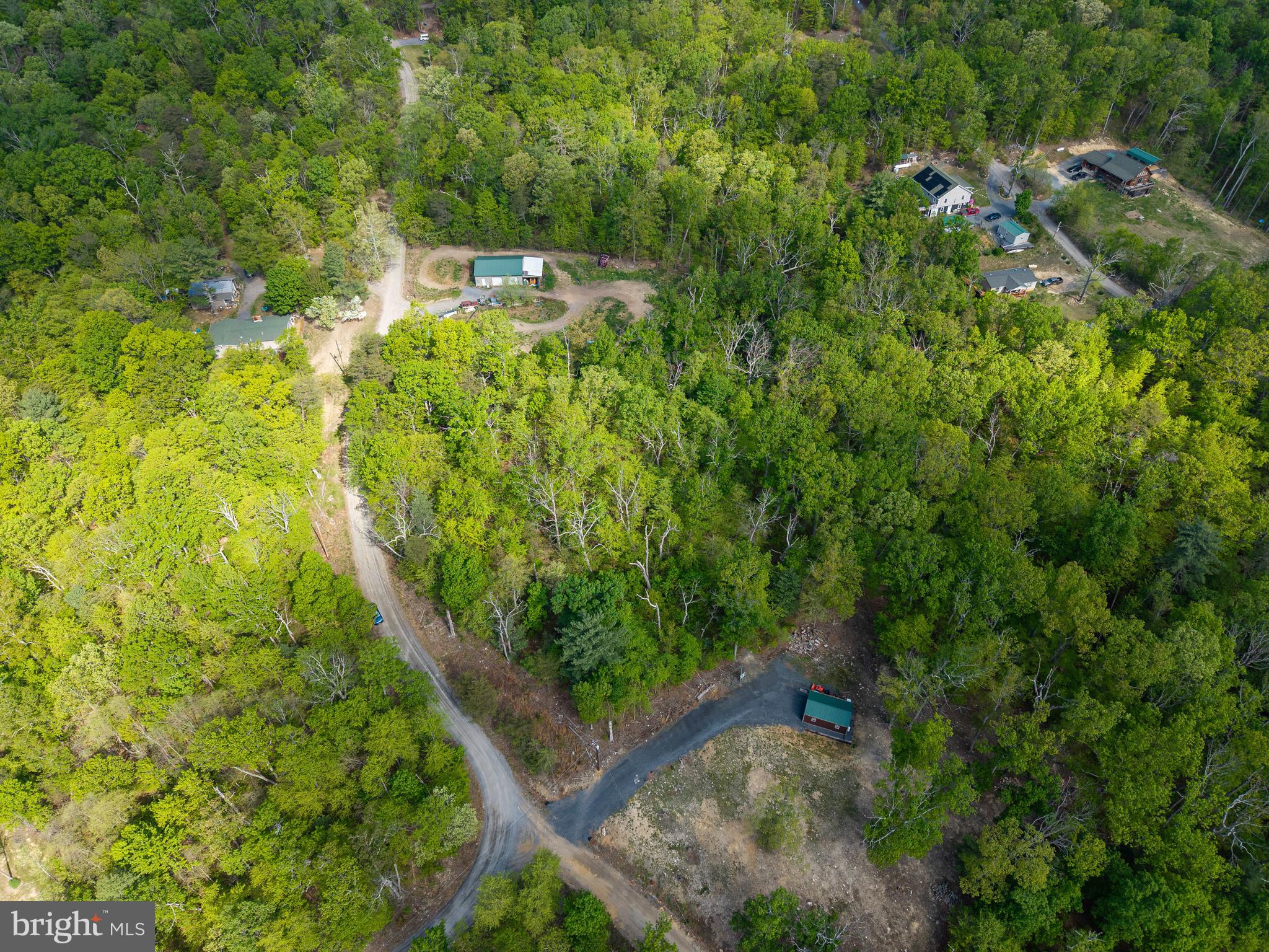SHENANDOAH FOREST - Land