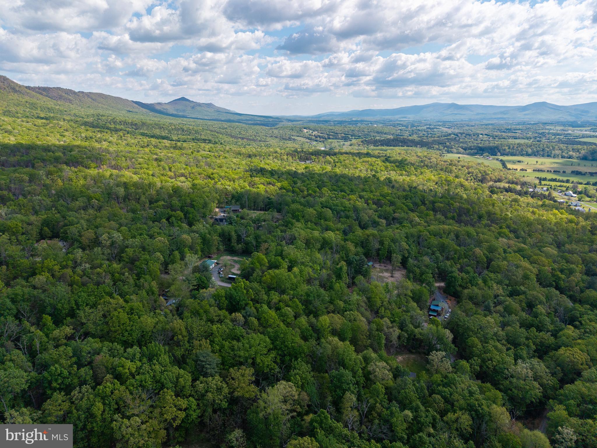SHENANDOAH FOREST - Land