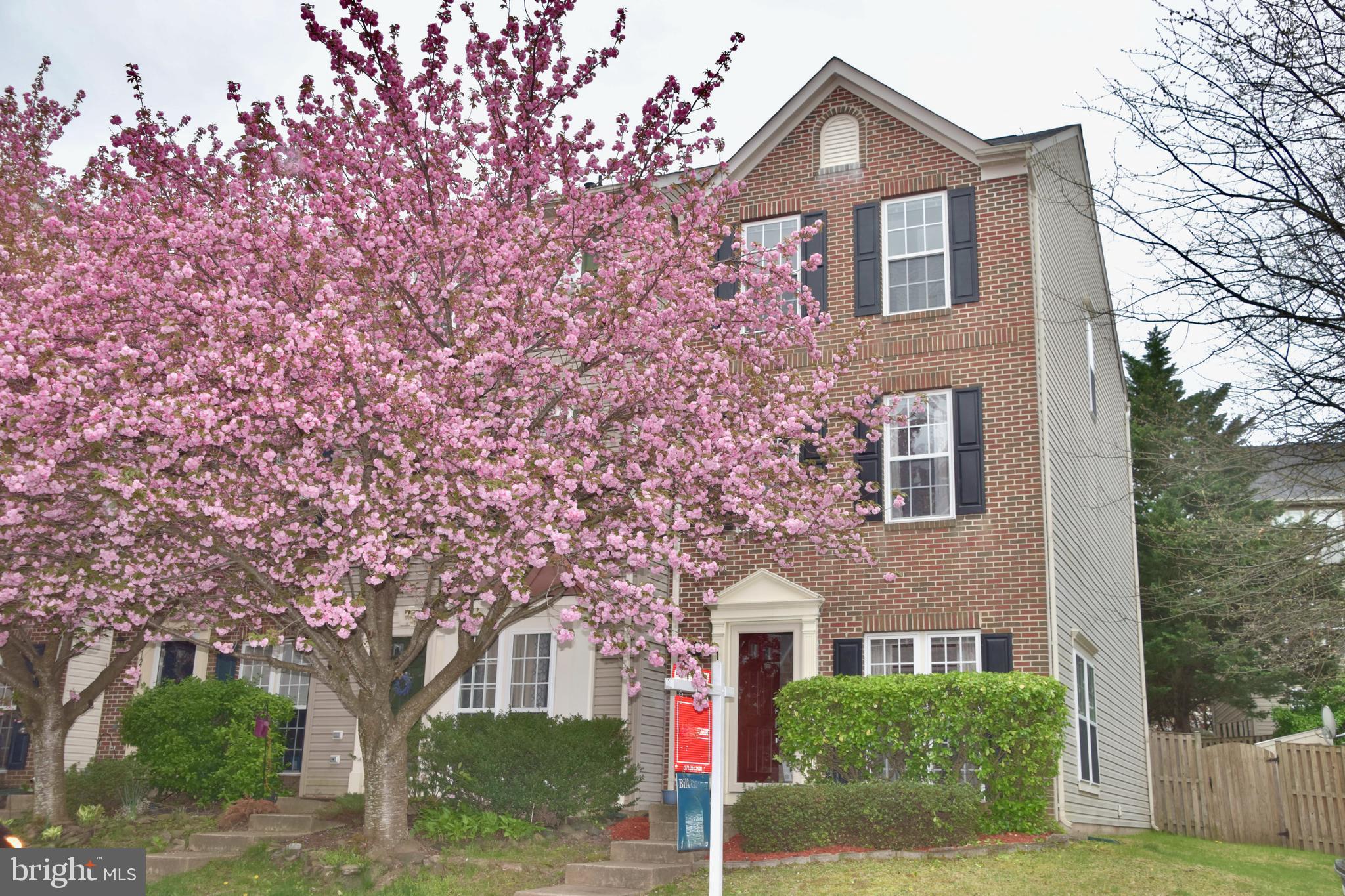 BRAEMAR - Residential