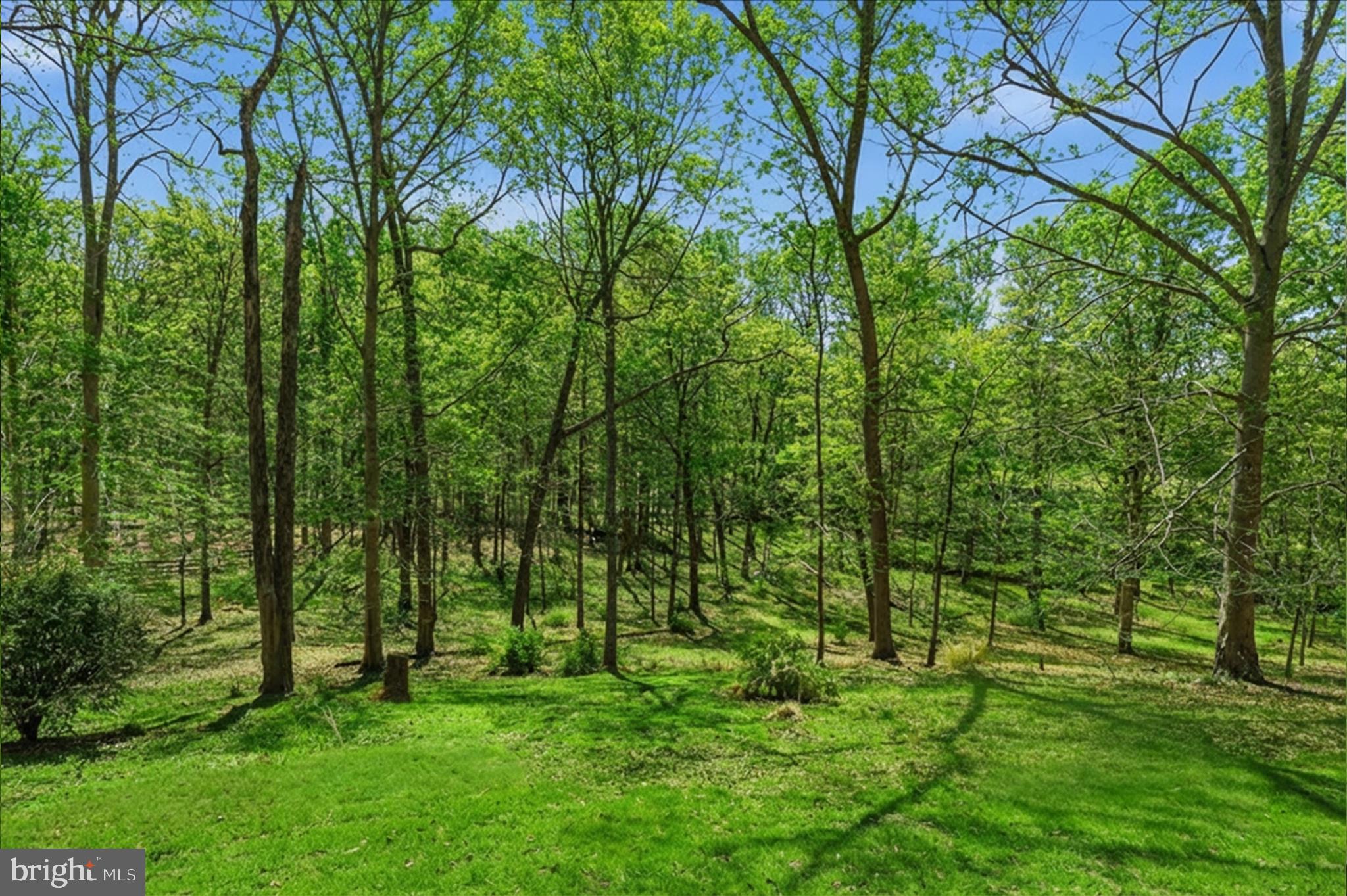 SMOKE RISE - Residential