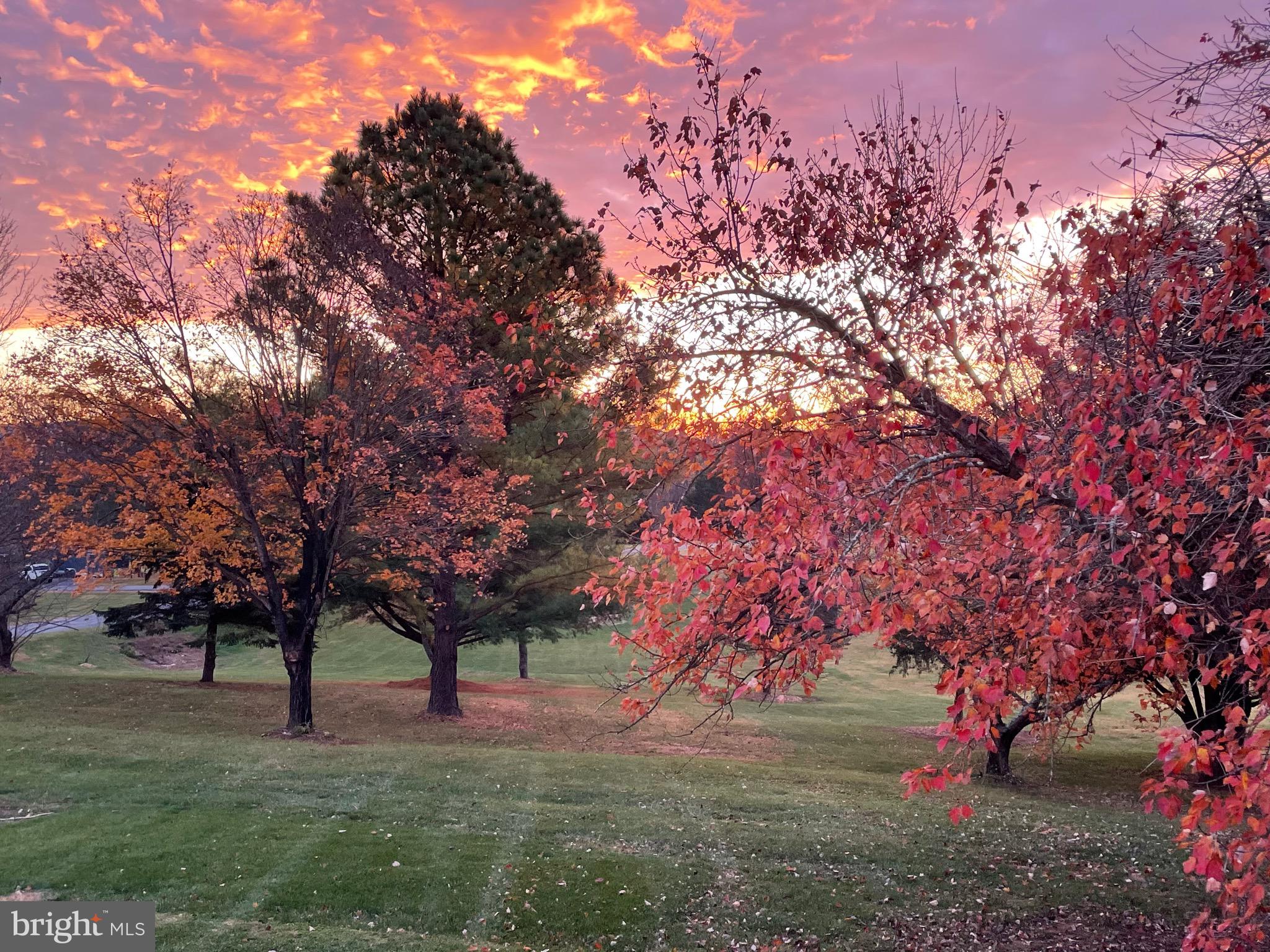 NORWOOD NORTH - Residential