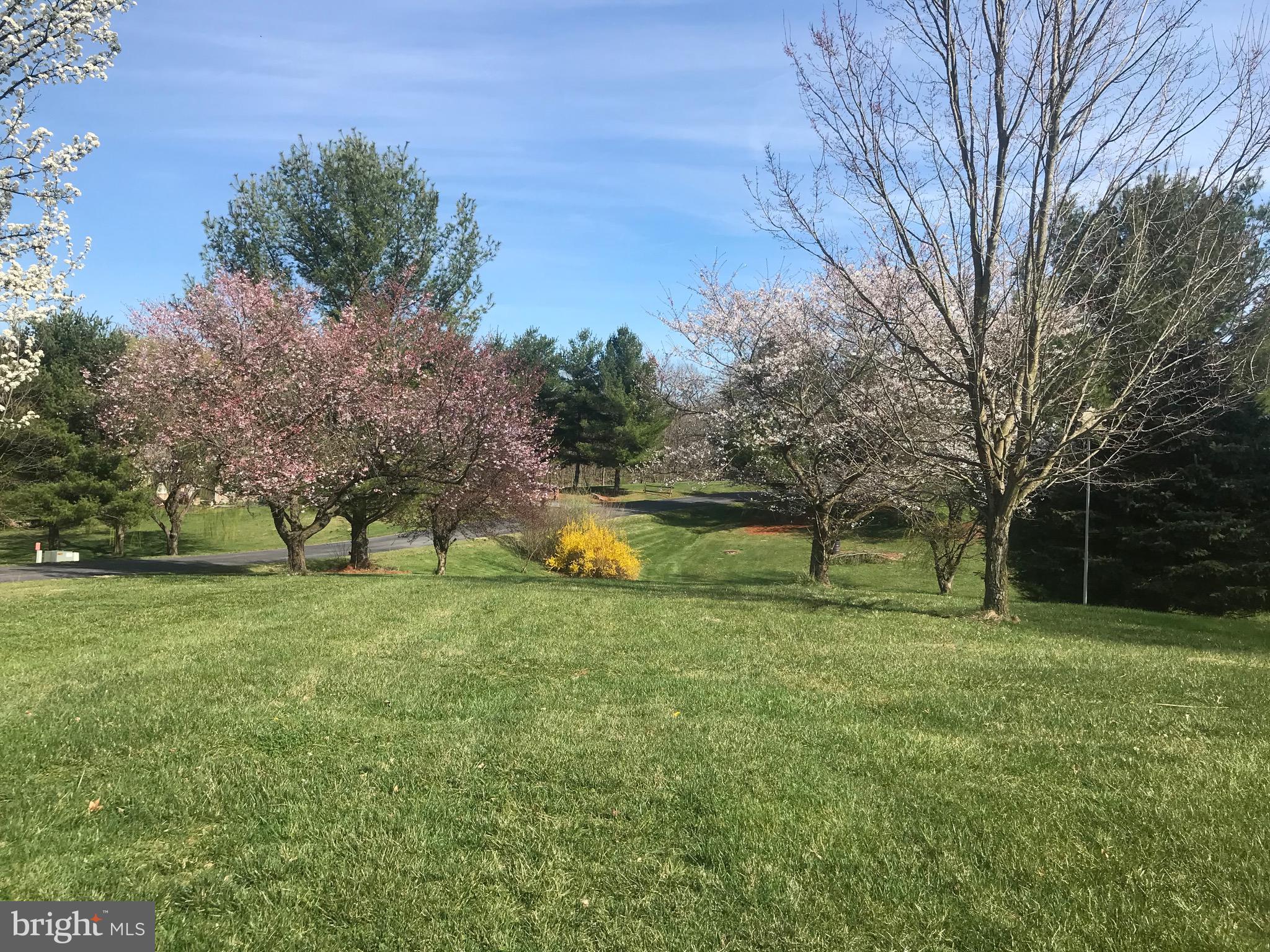 NORWOOD NORTH - Residential