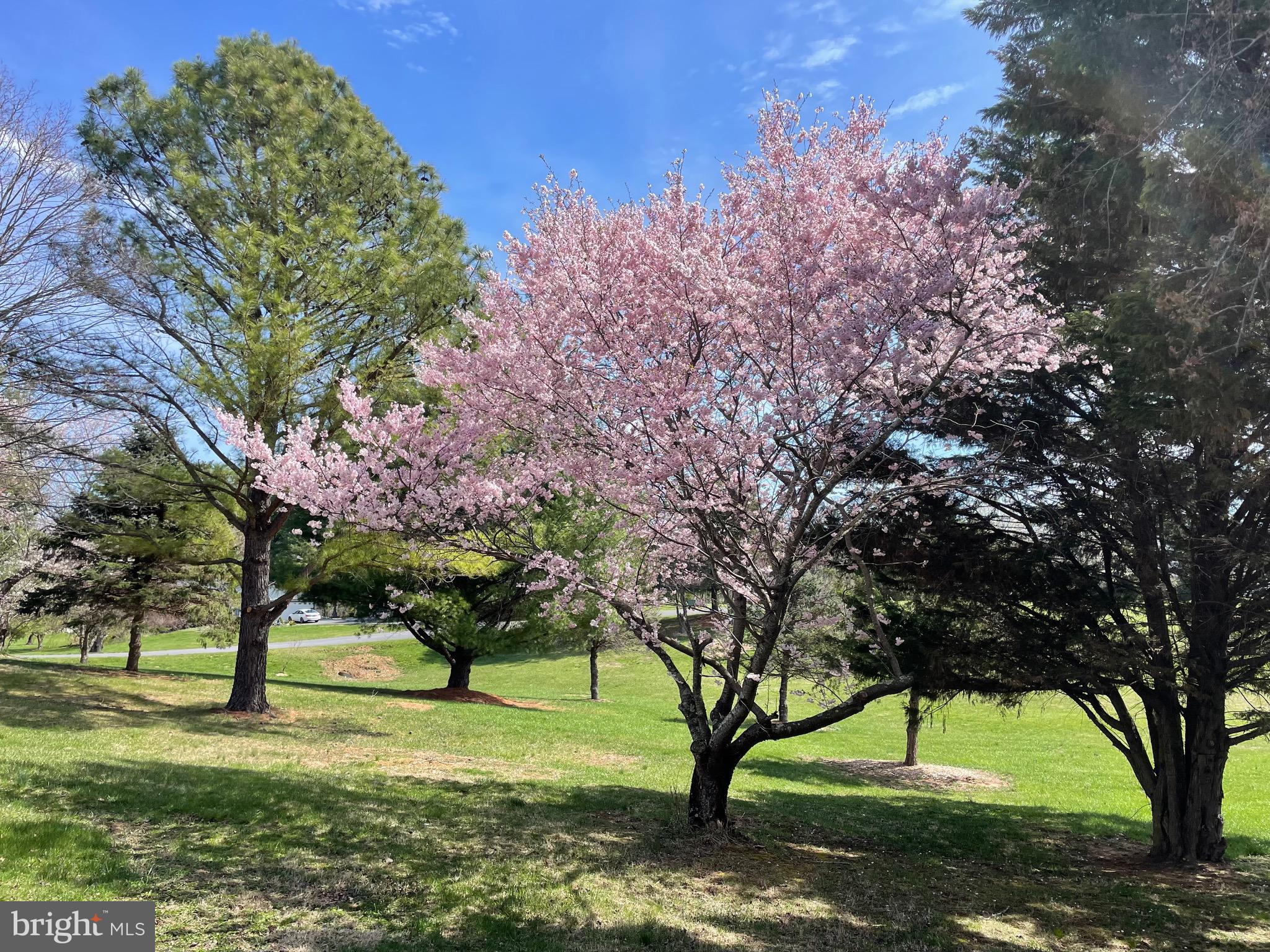 NORWOOD NORTH - Residential