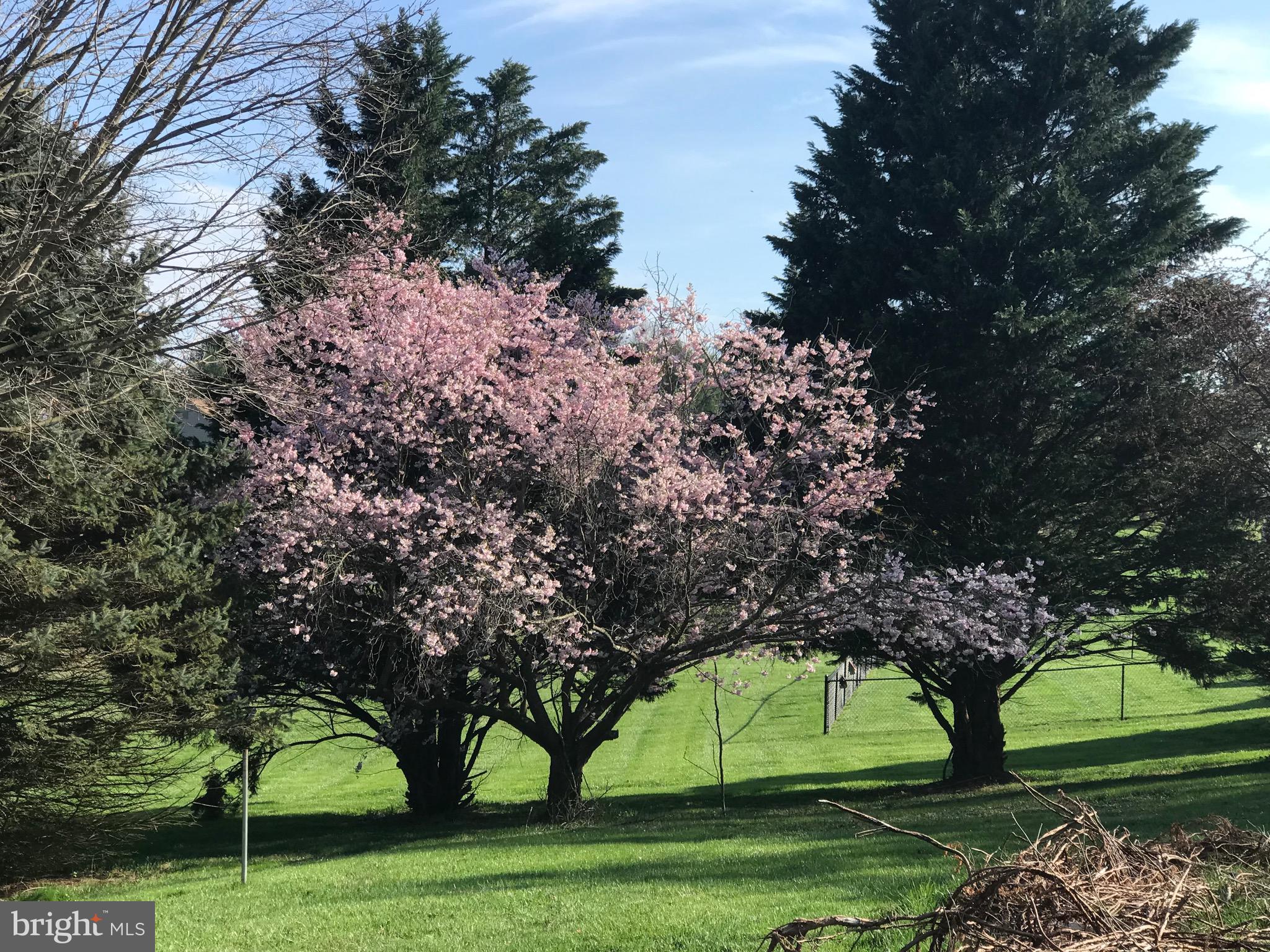 NORWOOD NORTH - Residential