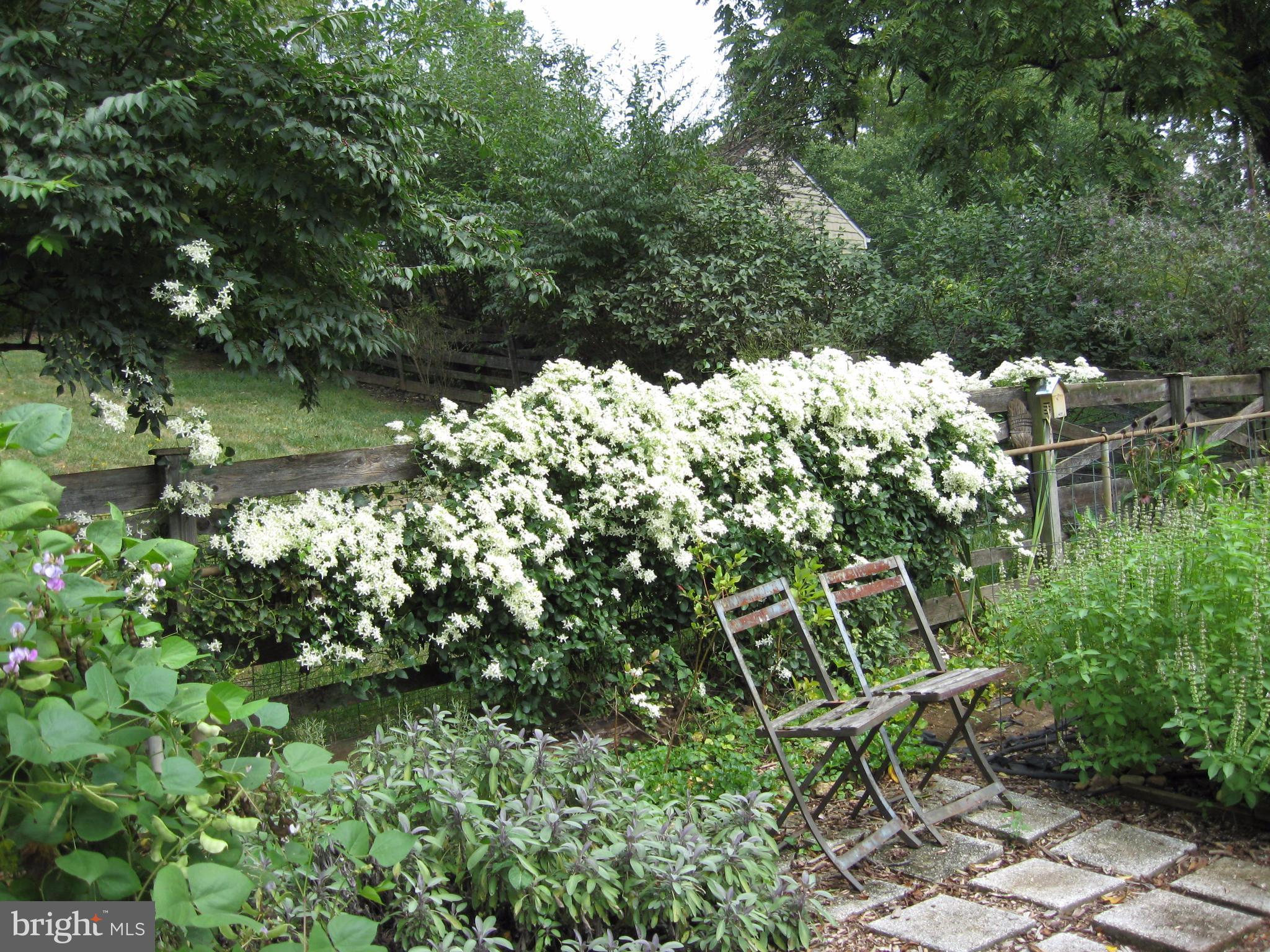 TIMBERLANE - Residential Lease