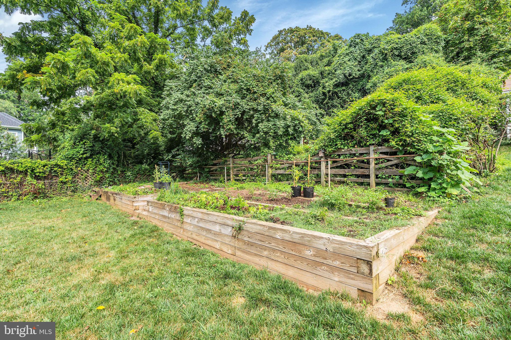 TIMBERLANE - Residential Lease