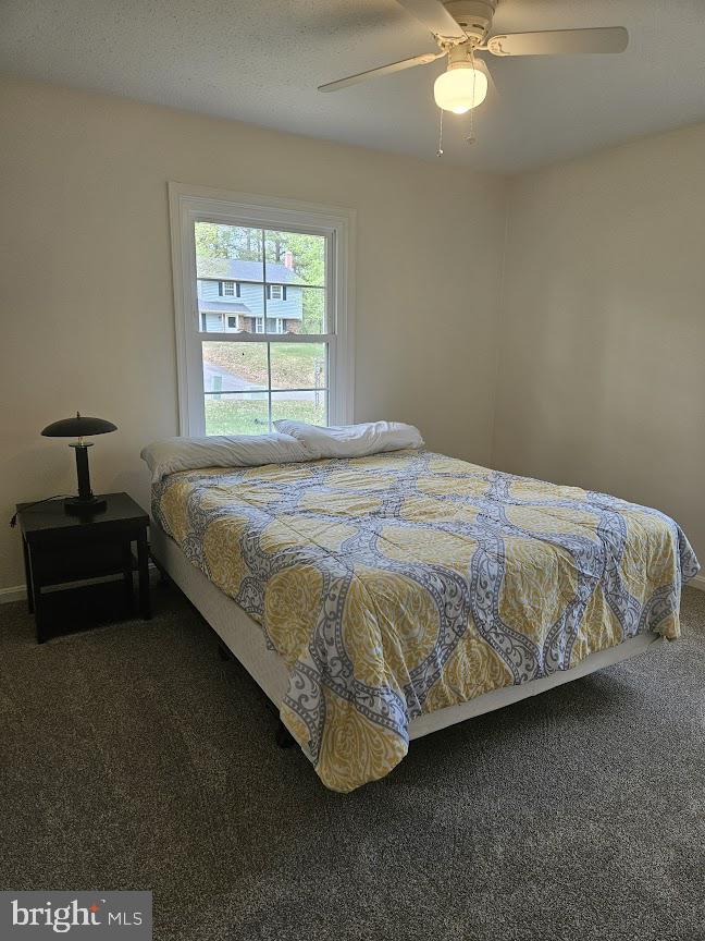 ESSEX SOUTH - Residential