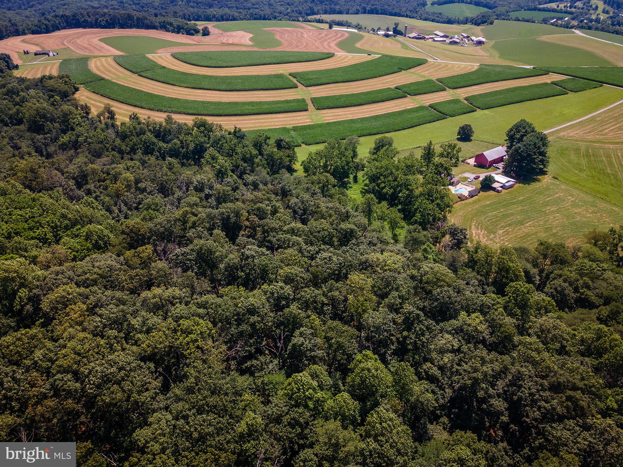 NONE AVAILABLE - Farm