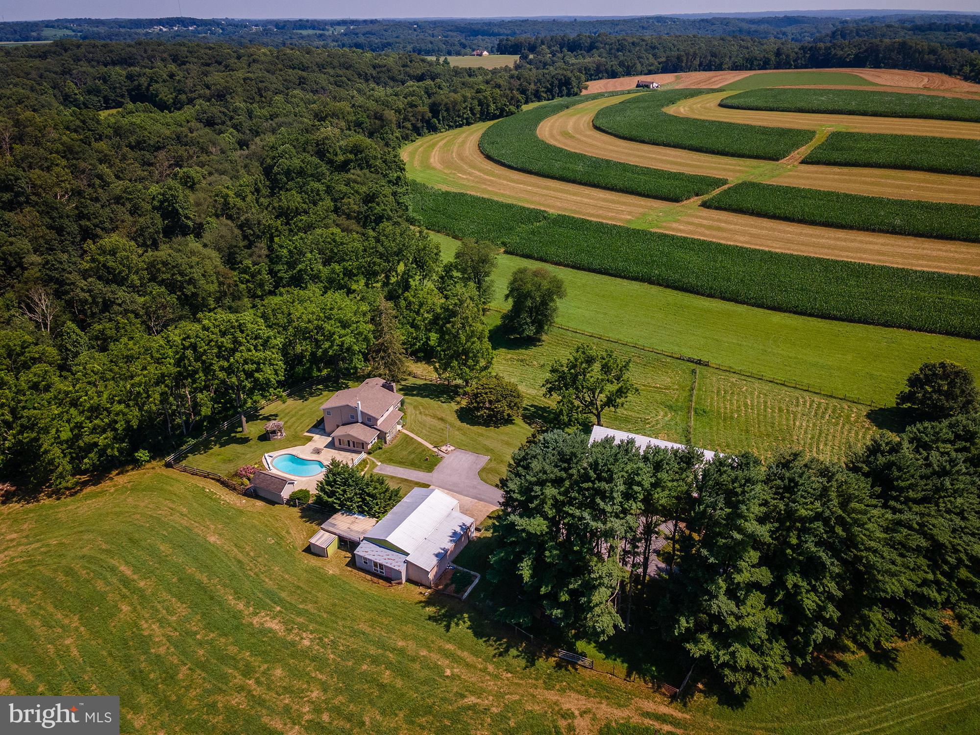 NONE AVAILABLE - Farm