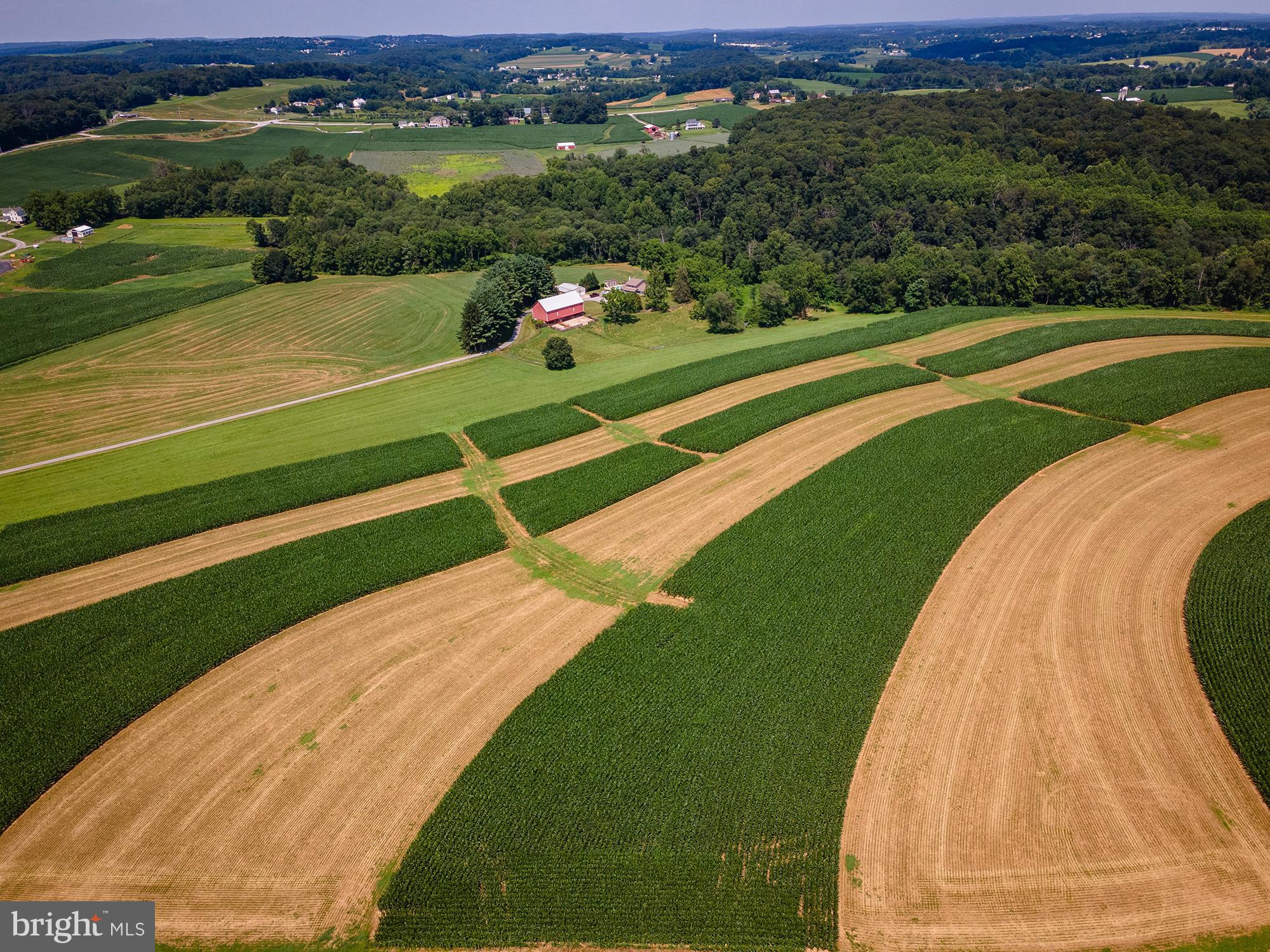 NONE AVAILABLE - Farm