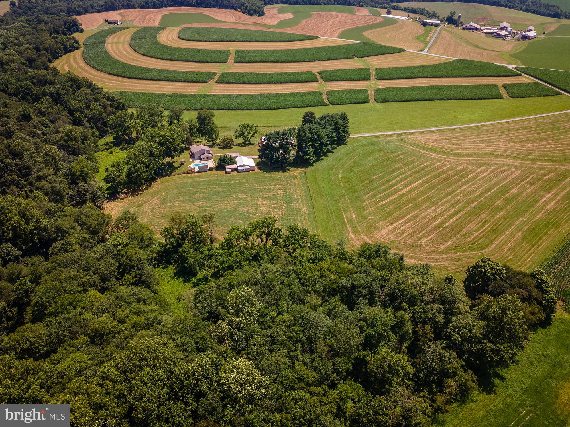 NONE AVAILABLE - Farm