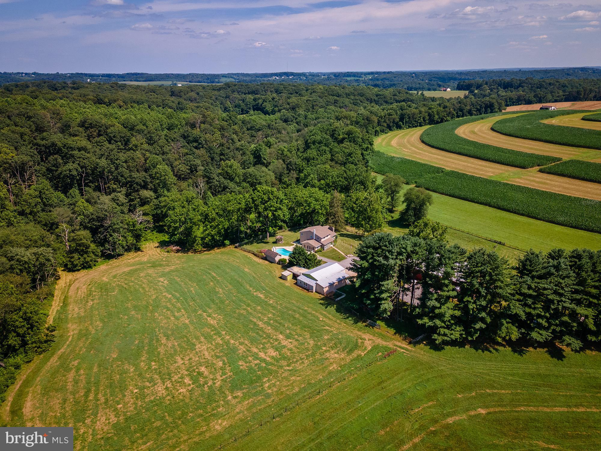 NONE AVAILABLE - Farm