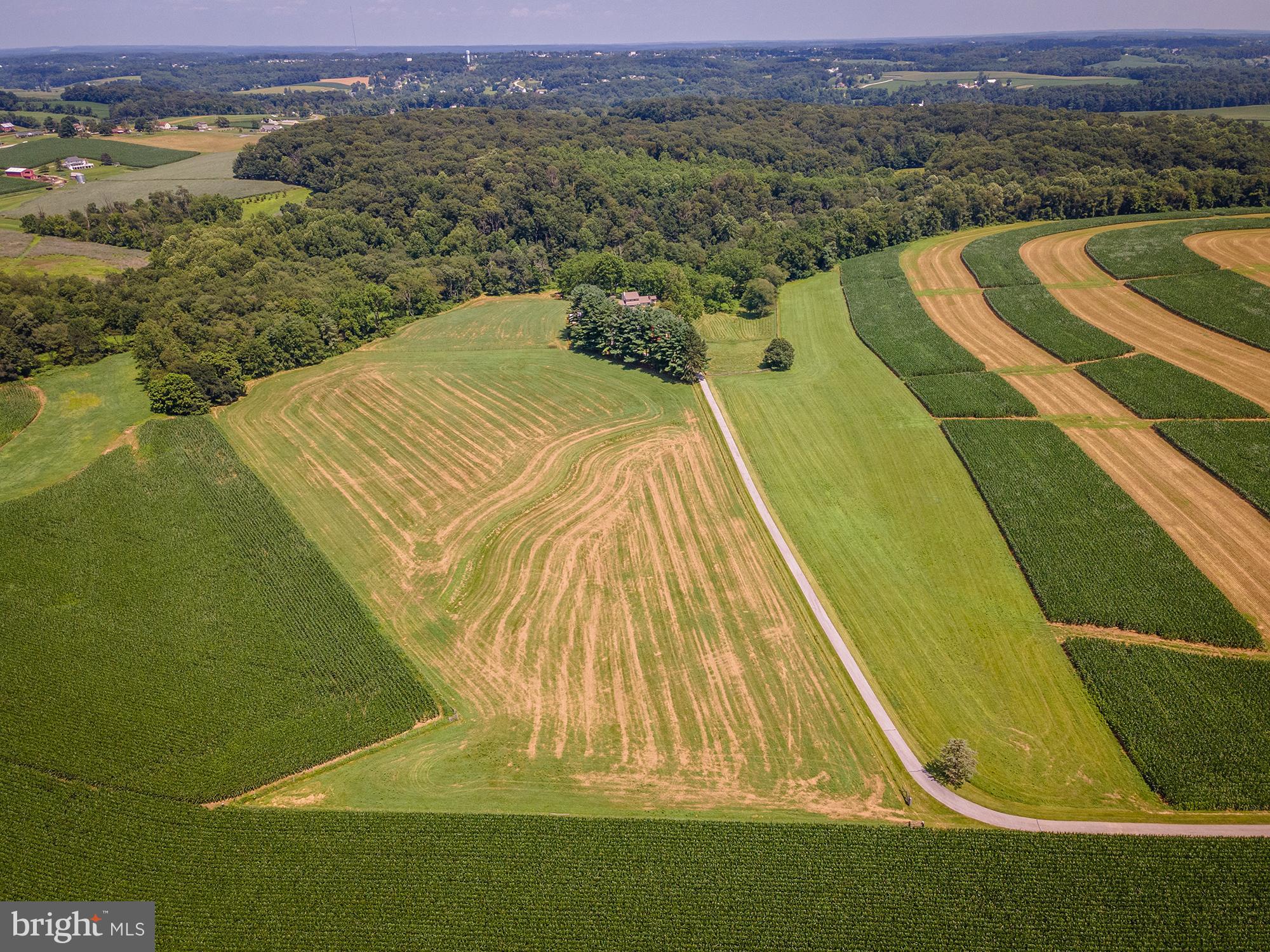 NONE AVAILABLE - Farm