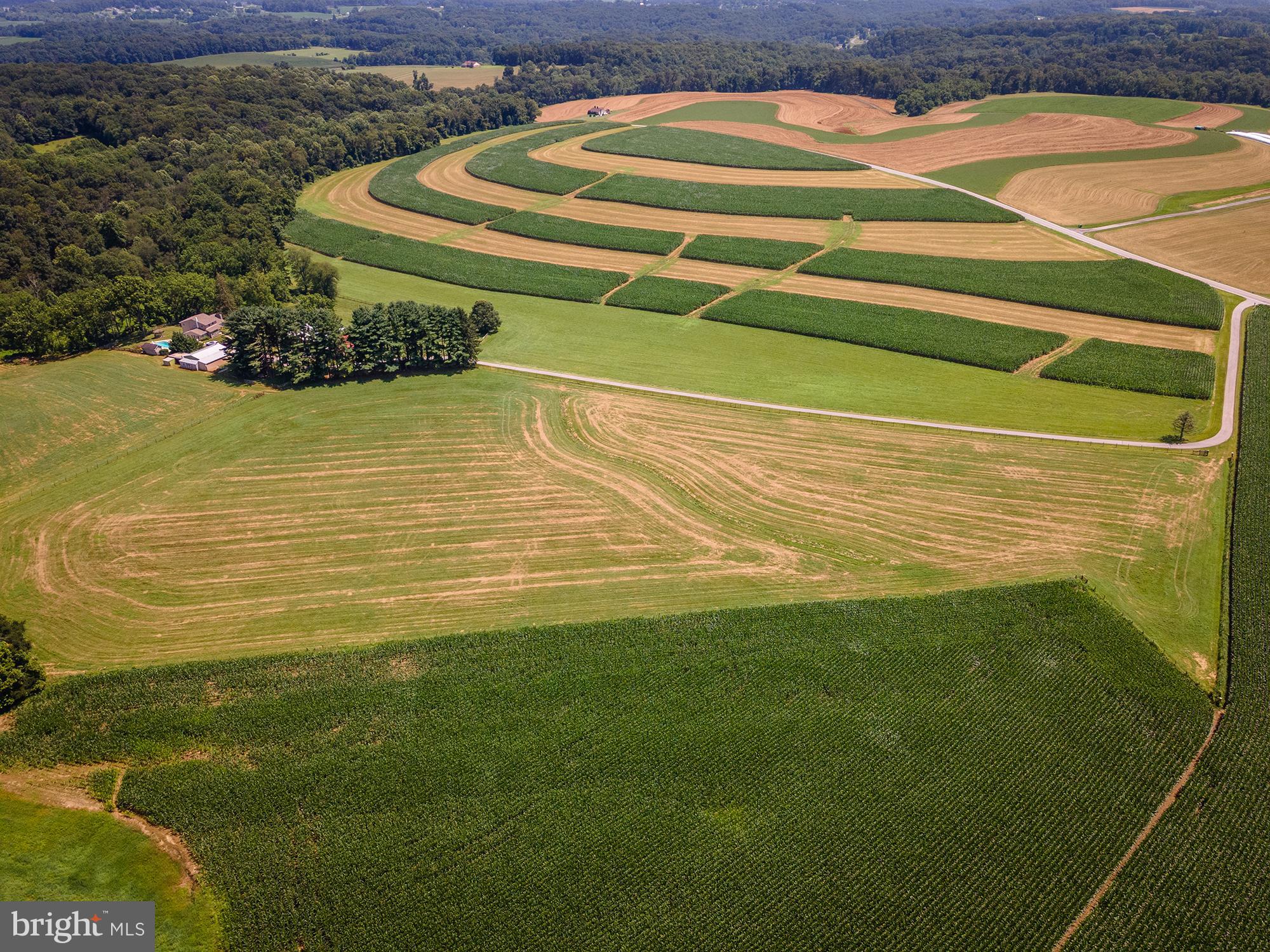 NONE AVAILABLE - Farm